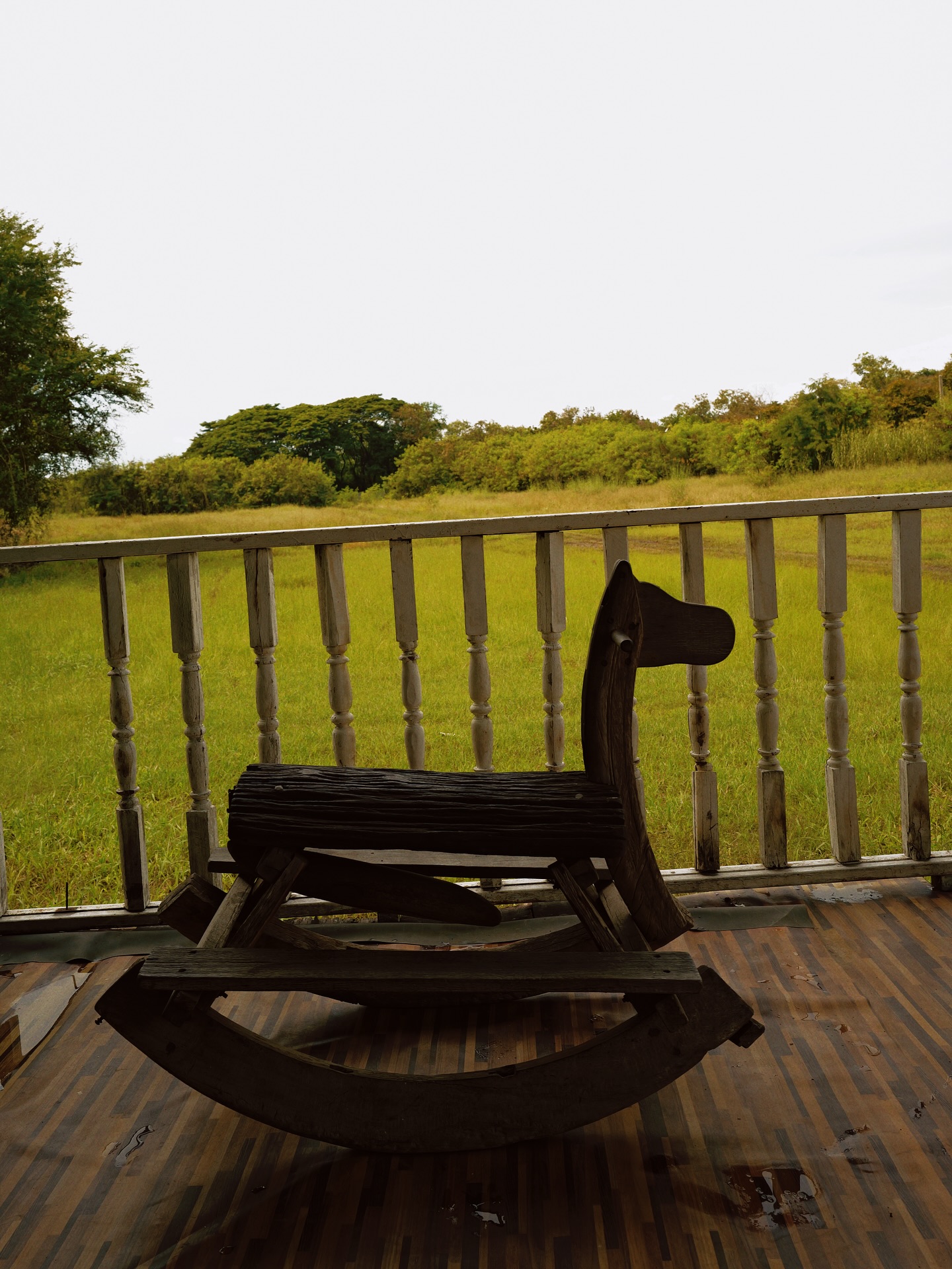 จุง - อาเชน ไอย์ดึน