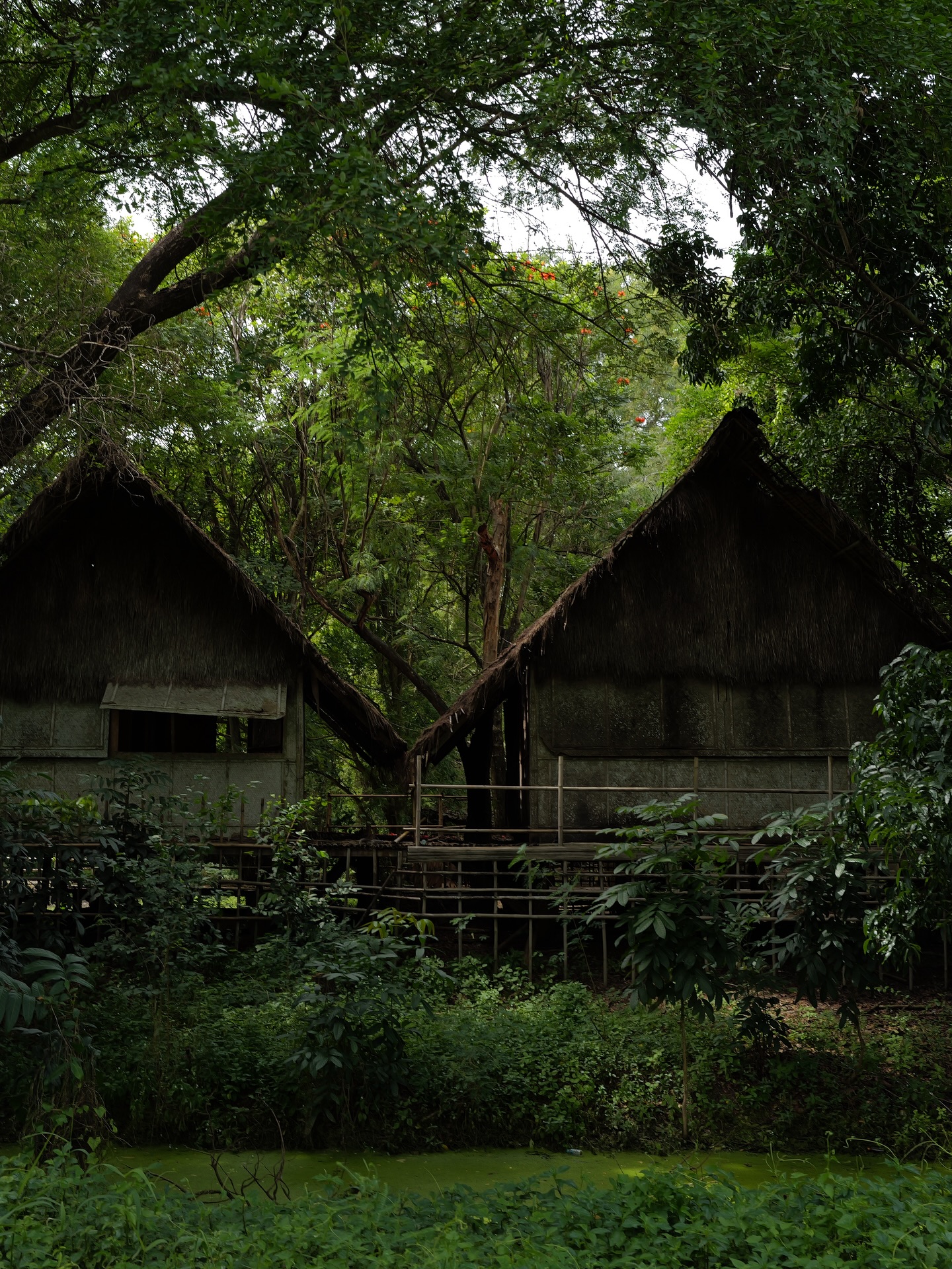 จุง - อาเชน ไอย์ดึน