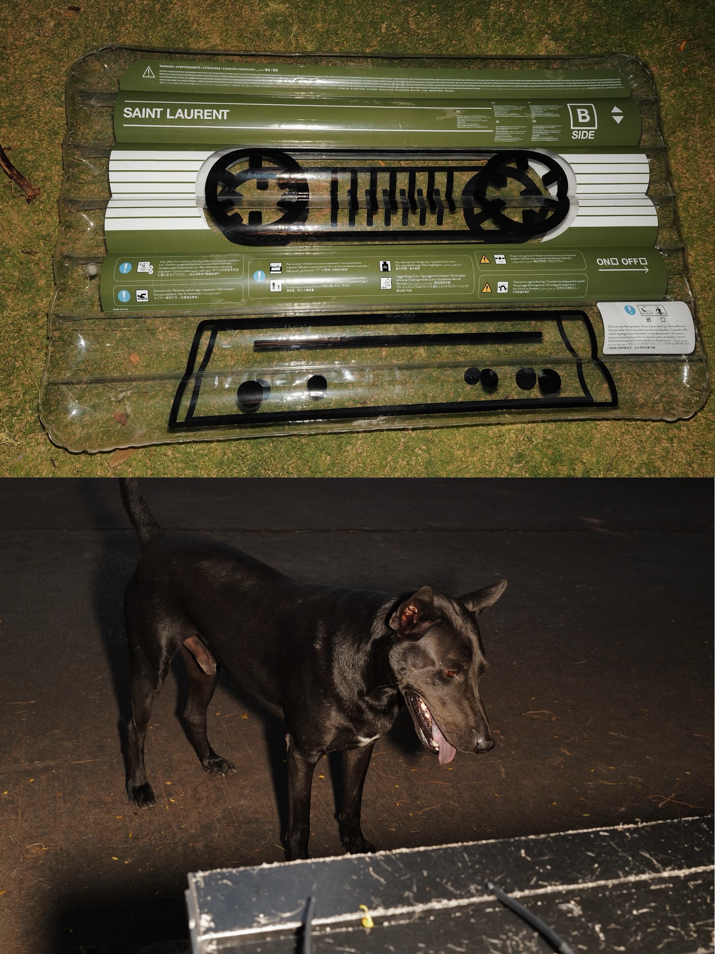 จุง - อาเชน ไอย์ดึน