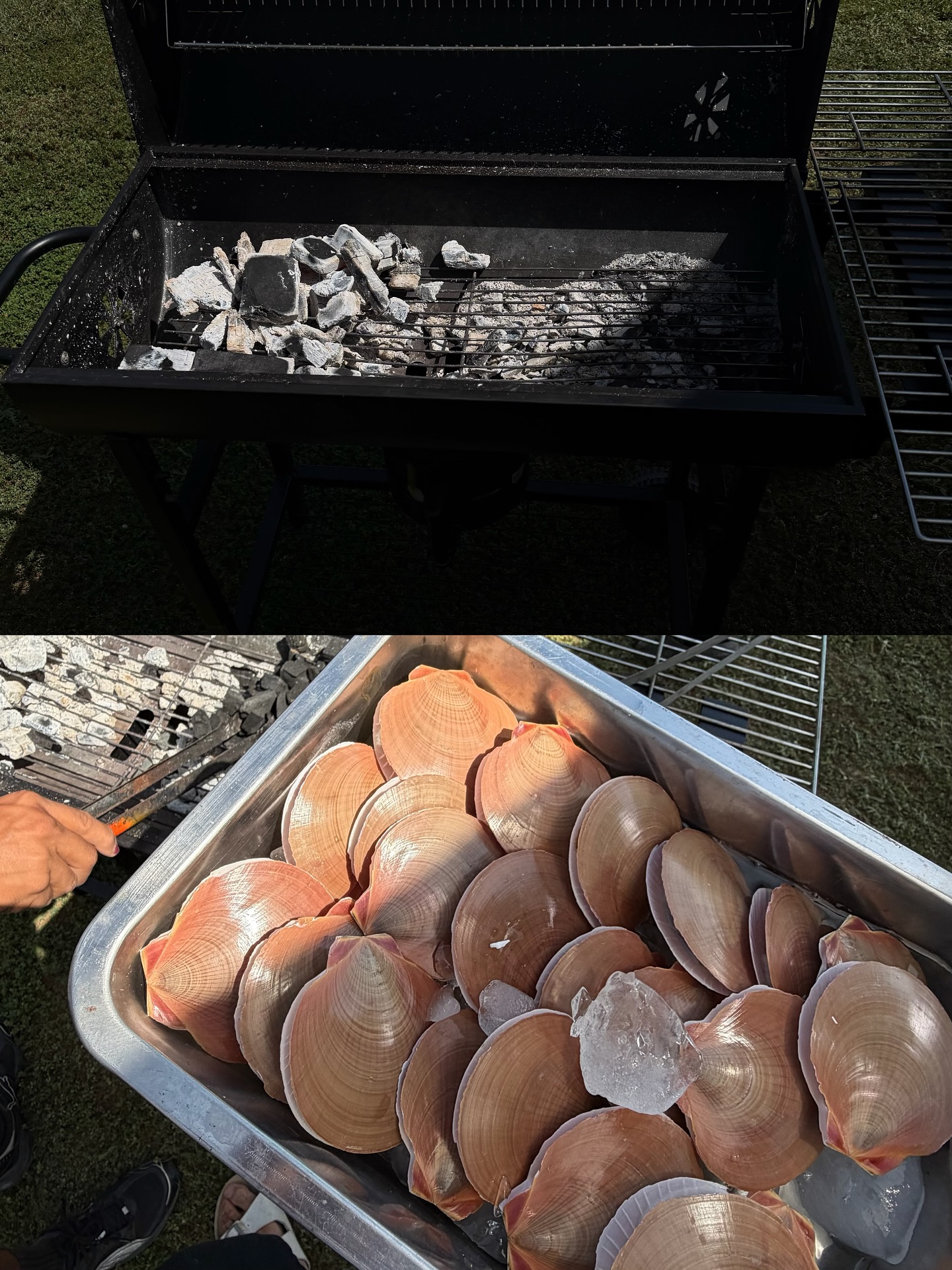 จุง - อาเชน ไอย์ดึน