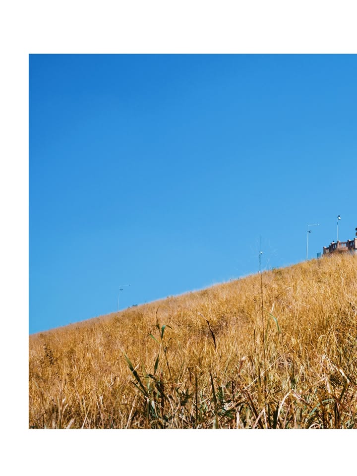 จุง - อาเชน ไอย์ดึน