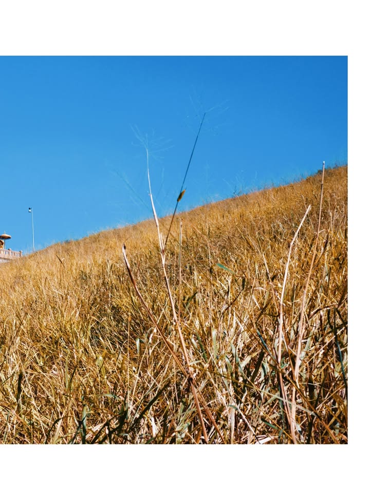 จุง - อาเชน ไอย์ดึน