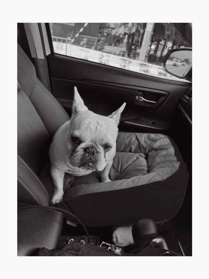 จุง - อาเชน ไอย์ดึน