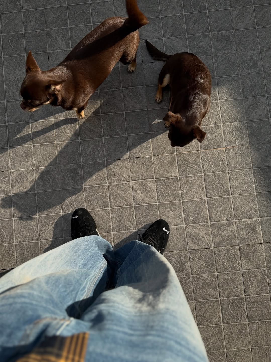 จุง - อาเชน ไอย์ดึน