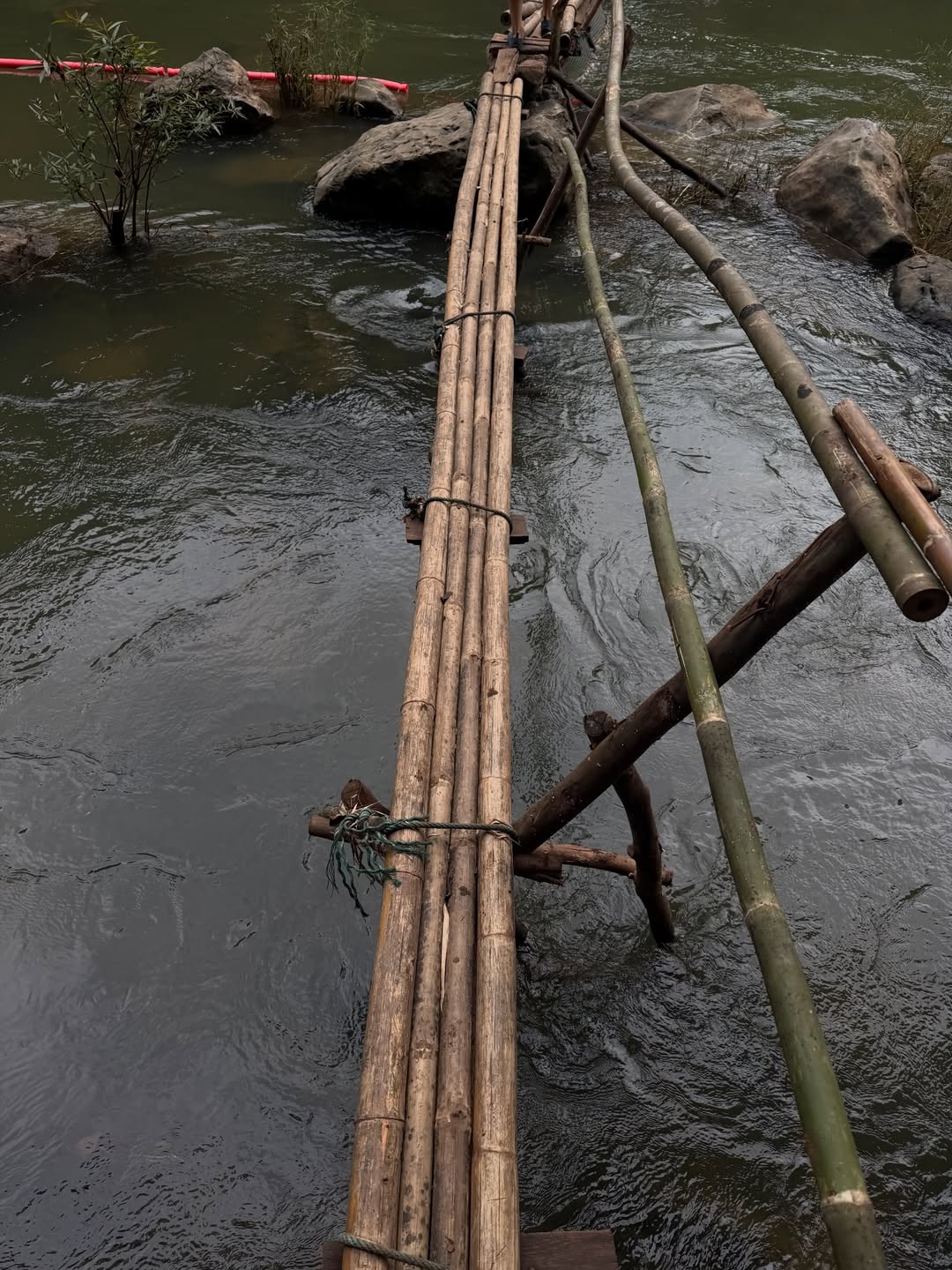 จุง - อาเชน ไอย์ดึน