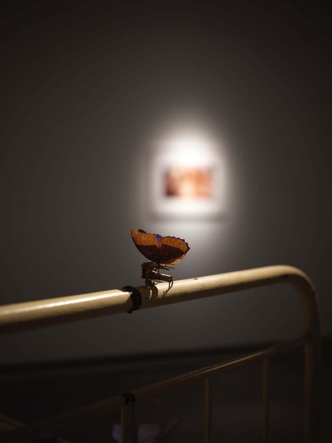 จุง - อาเชน ไอย์ดึน