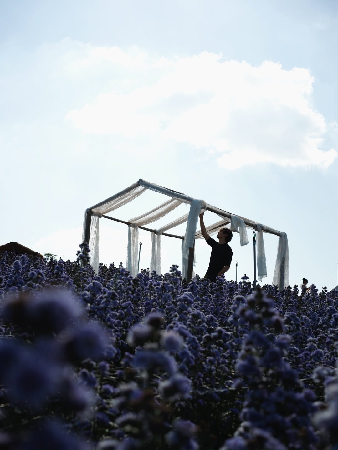 จุง - อาเชน ไอย์ดึน