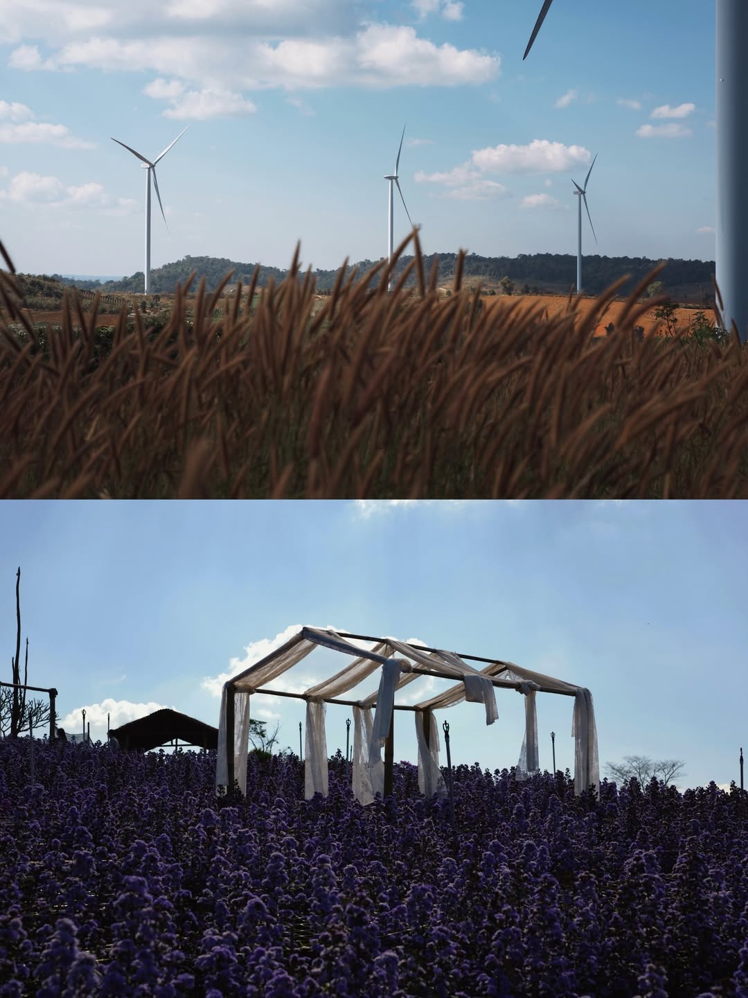 จุง - อาเชน ไอย์ดึน