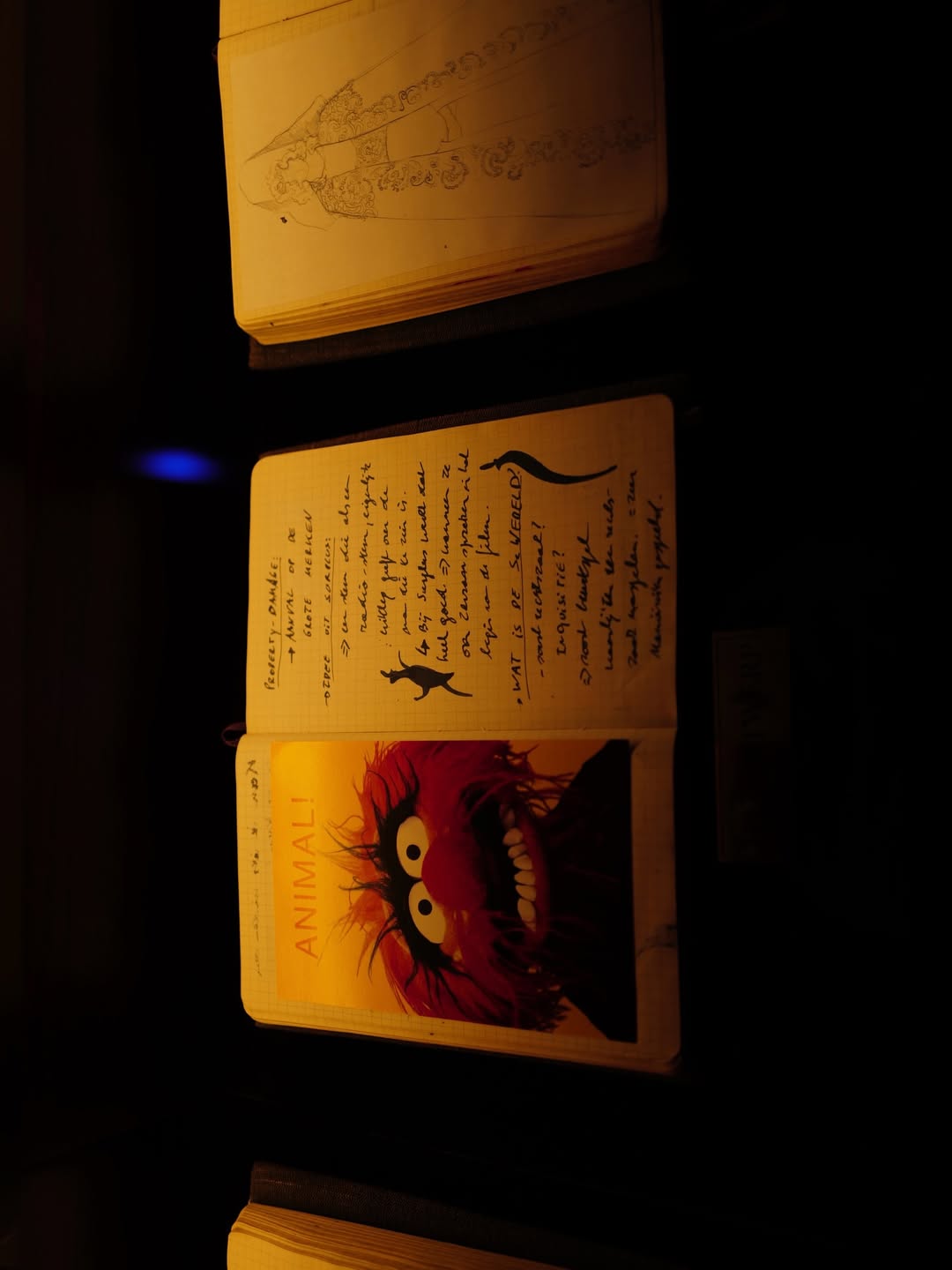 จุง - อาเชน ไอย์ดึน