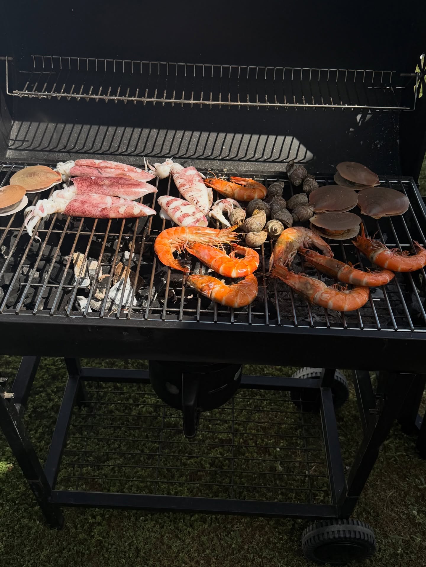 จุง - อาเชน ไอย์ดึน