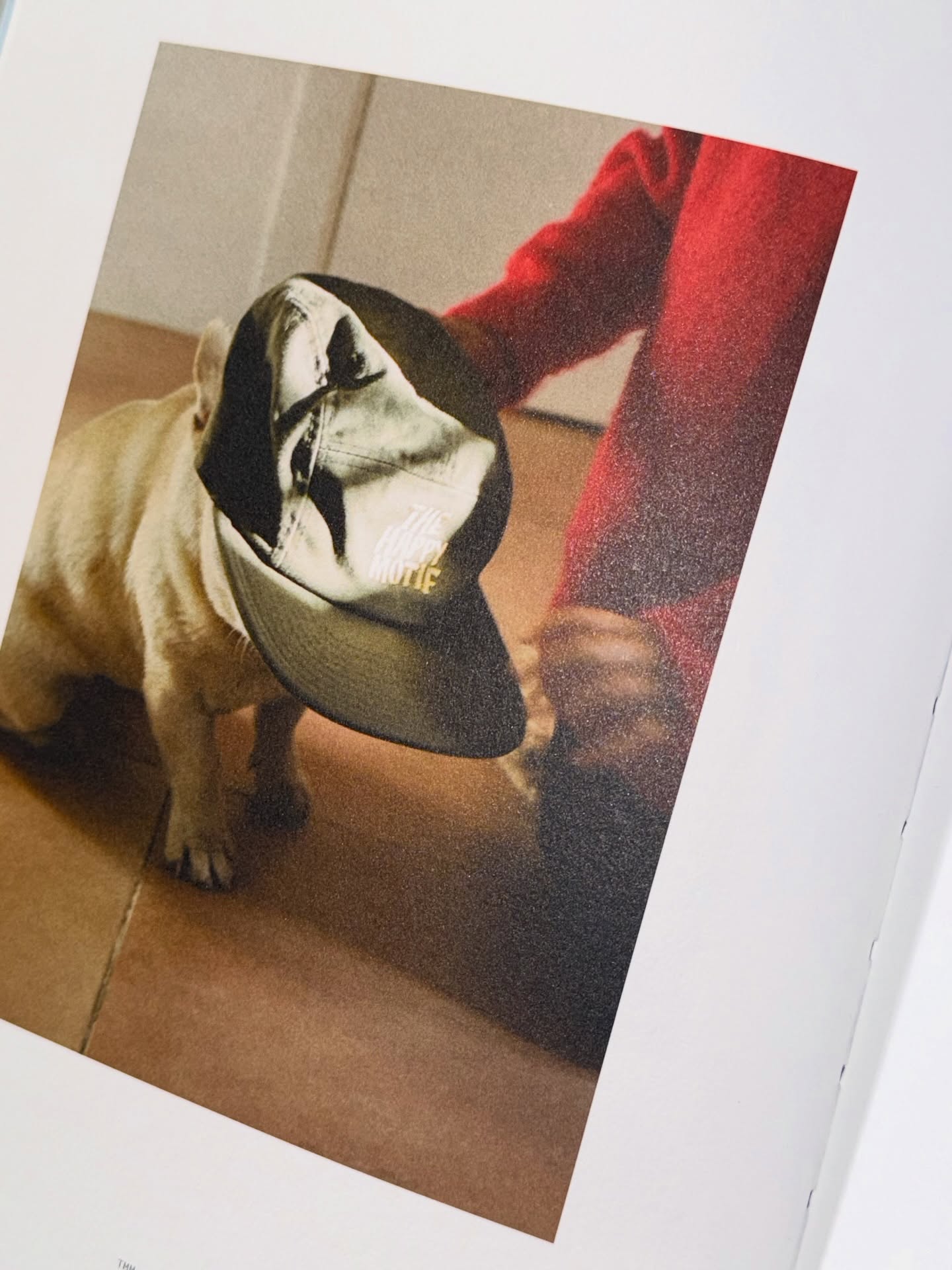 จุง - อาเชน ไอย์ดึน