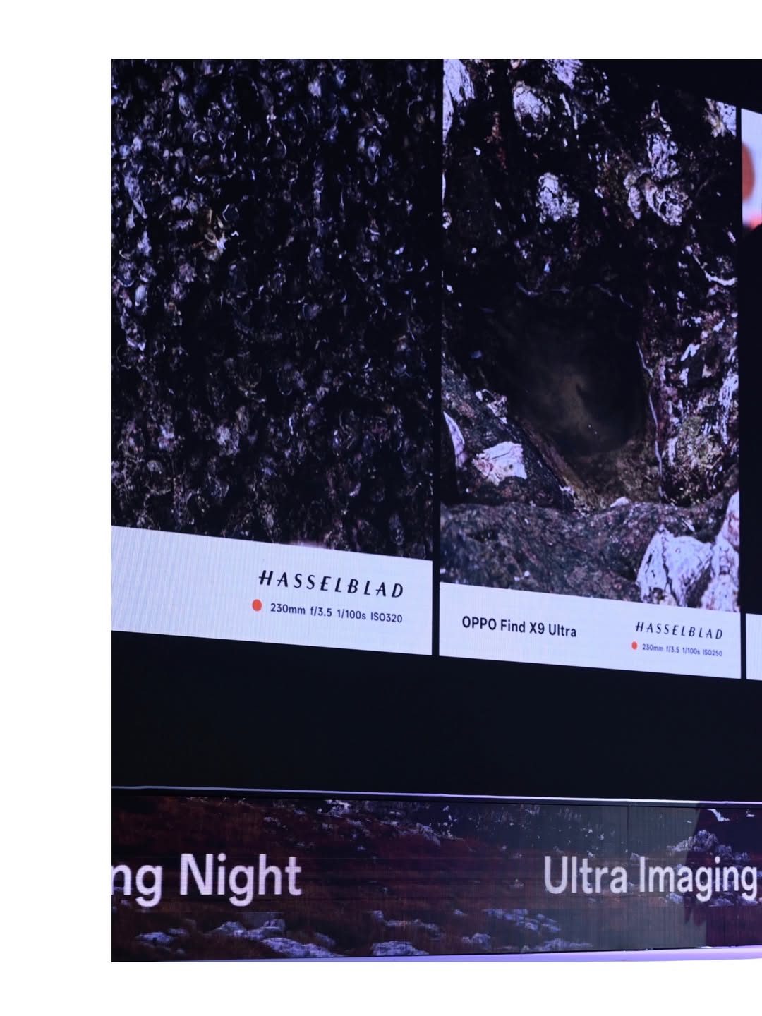 จุง - อาเชน ไอย์ดึน