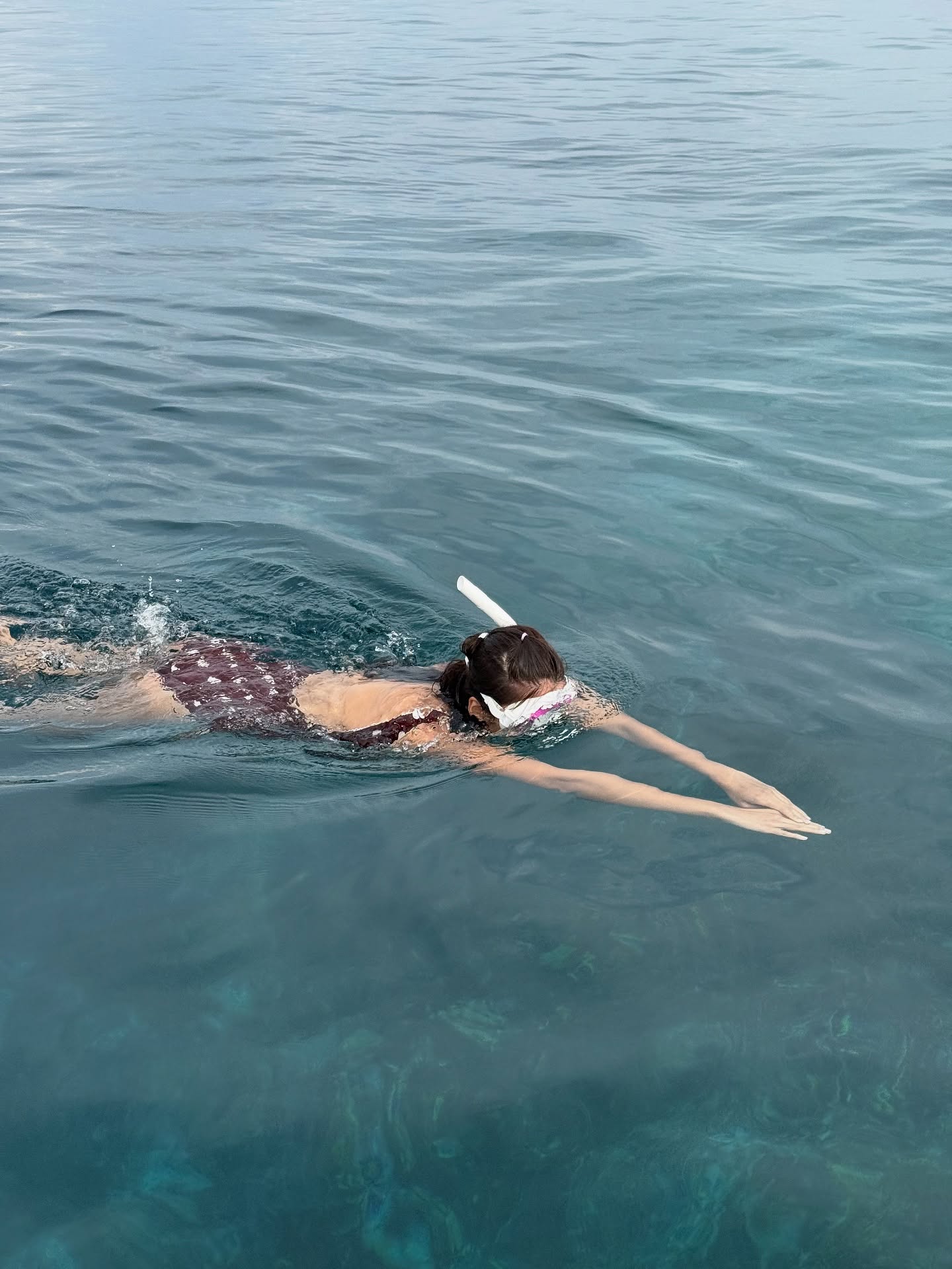 แนท - อนิพรณ์  เฉลิมบูรณะวงศ์