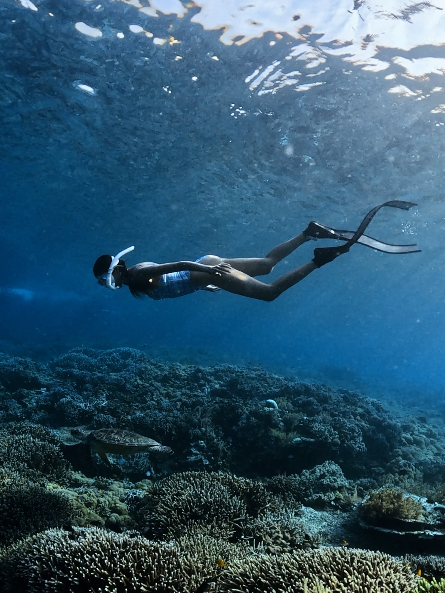 แนท - อนิพรณ์  เฉลิมบูรณะวงศ์