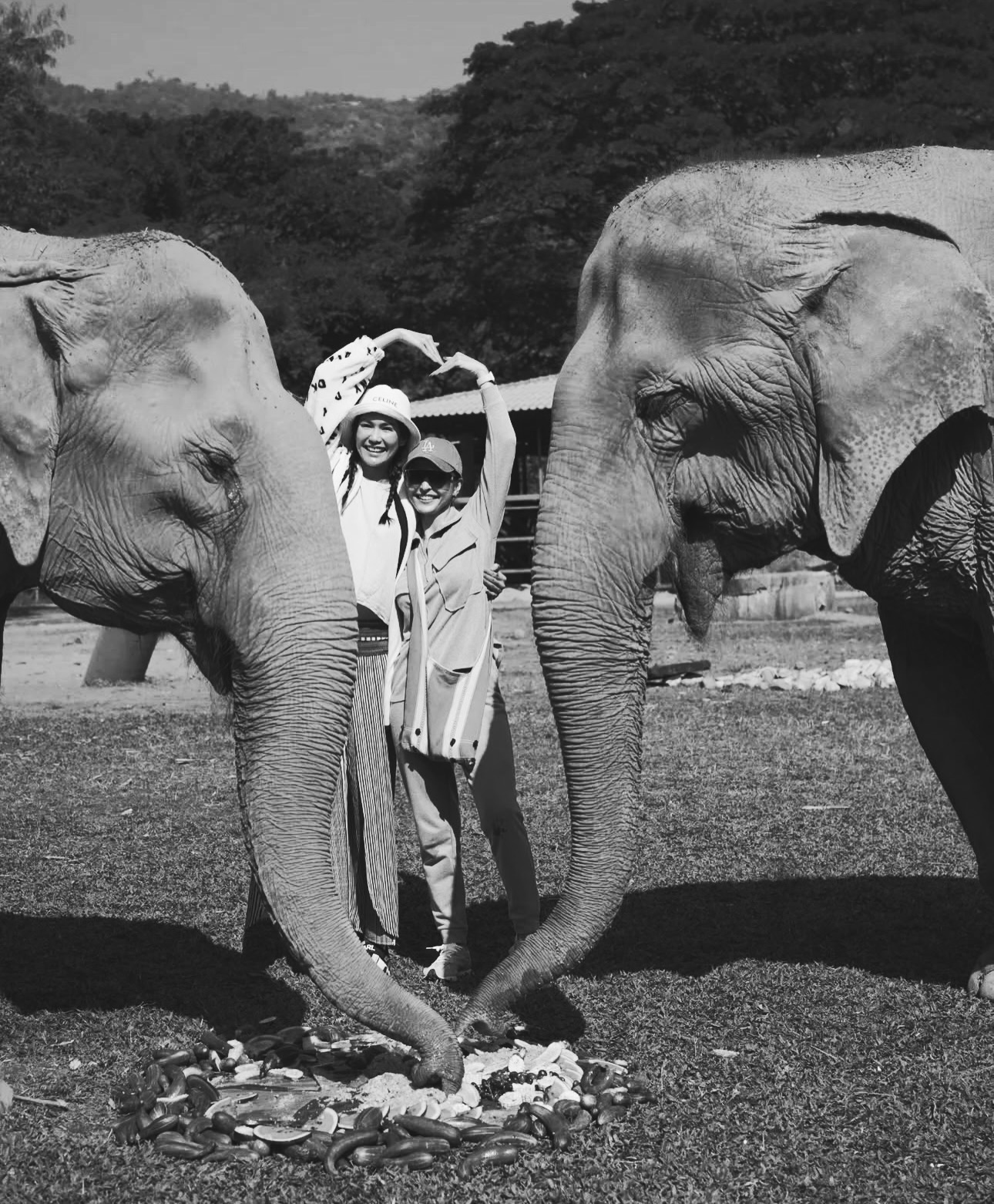 แนท - อนิพรณ์  เฉลิมบูรณะวงศ์