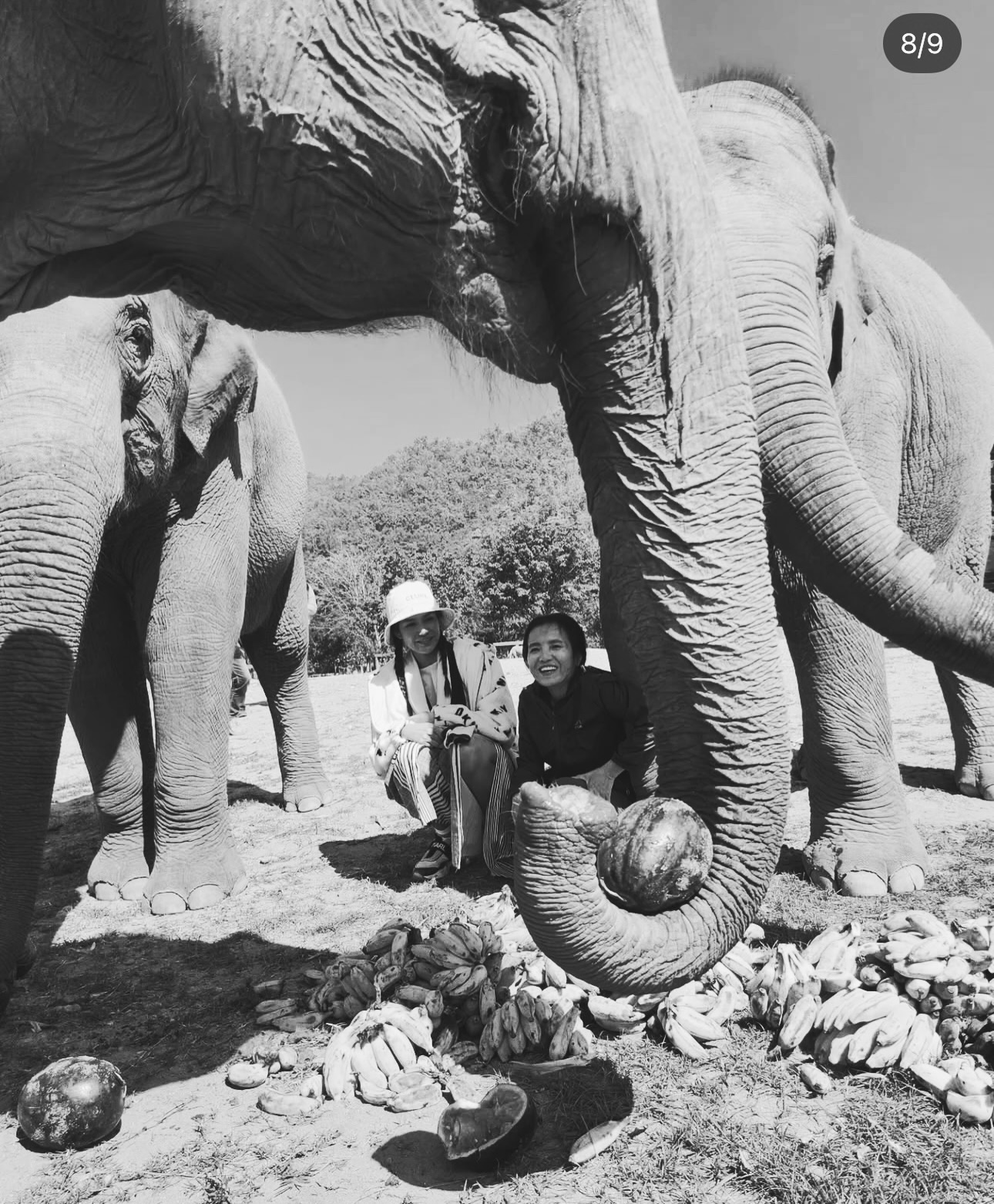 แนท - อนิพรณ์  เฉลิมบูรณะวงศ์