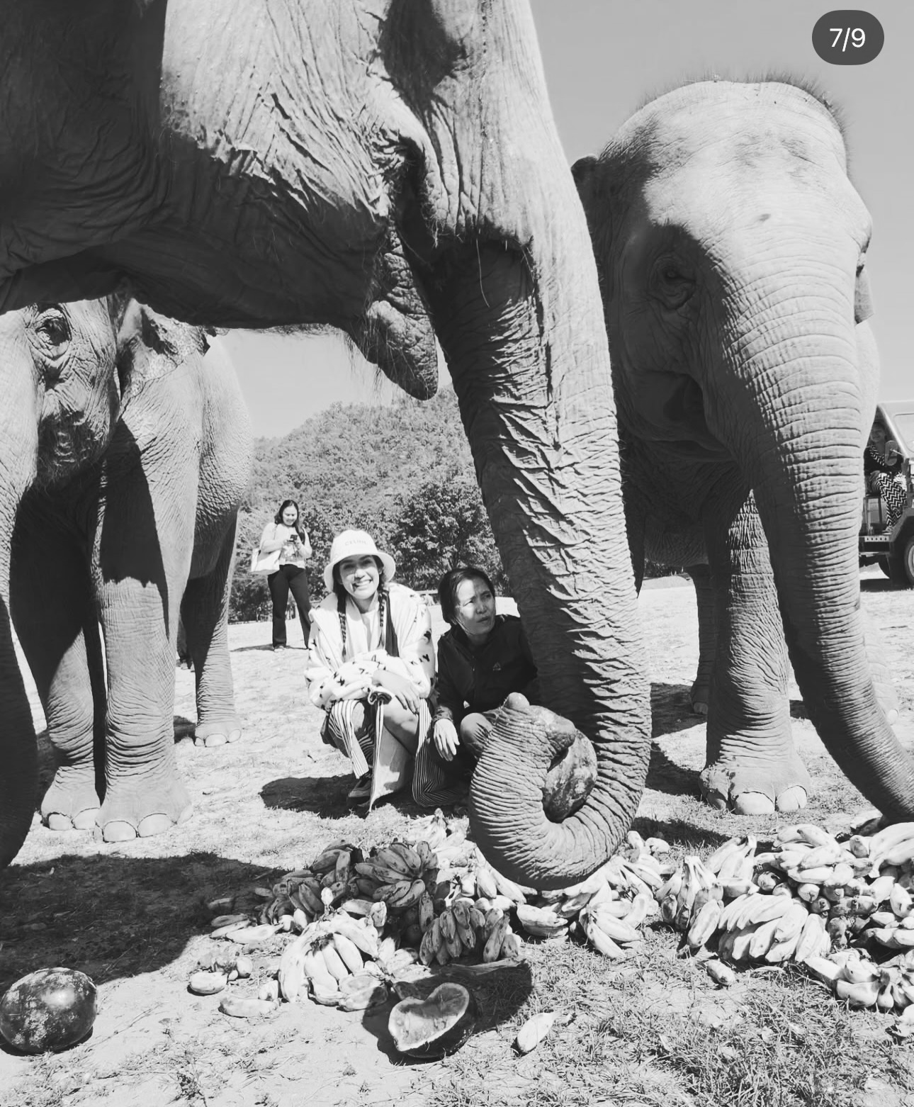 แนท - อนิพรณ์  เฉลิมบูรณะวงศ์