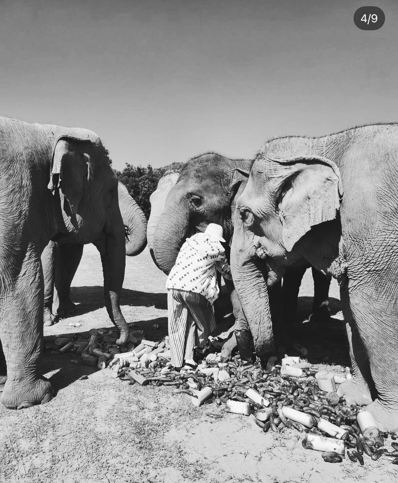 แนท - อนิพรณ์  เฉลิมบูรณะวงศ์