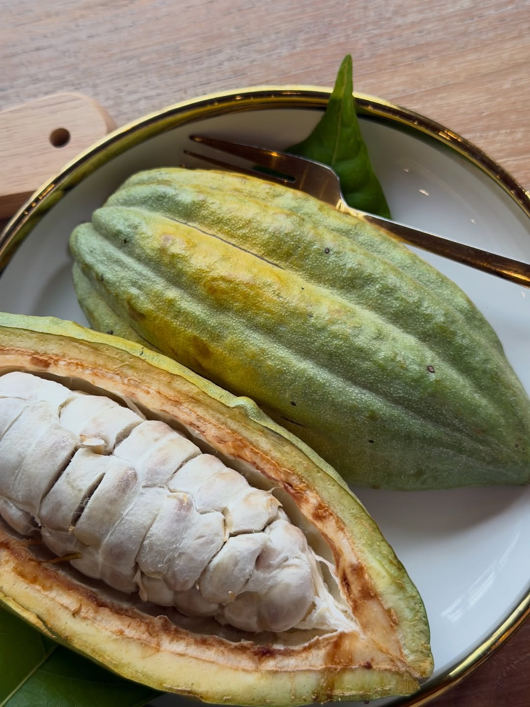 แนท - อนิพรณ์  เฉลิมบูรณะวงศ์