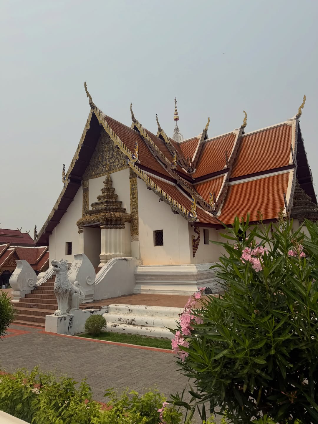 แนท - อนิพรณ์  เฉลิมบูรณะวงศ์