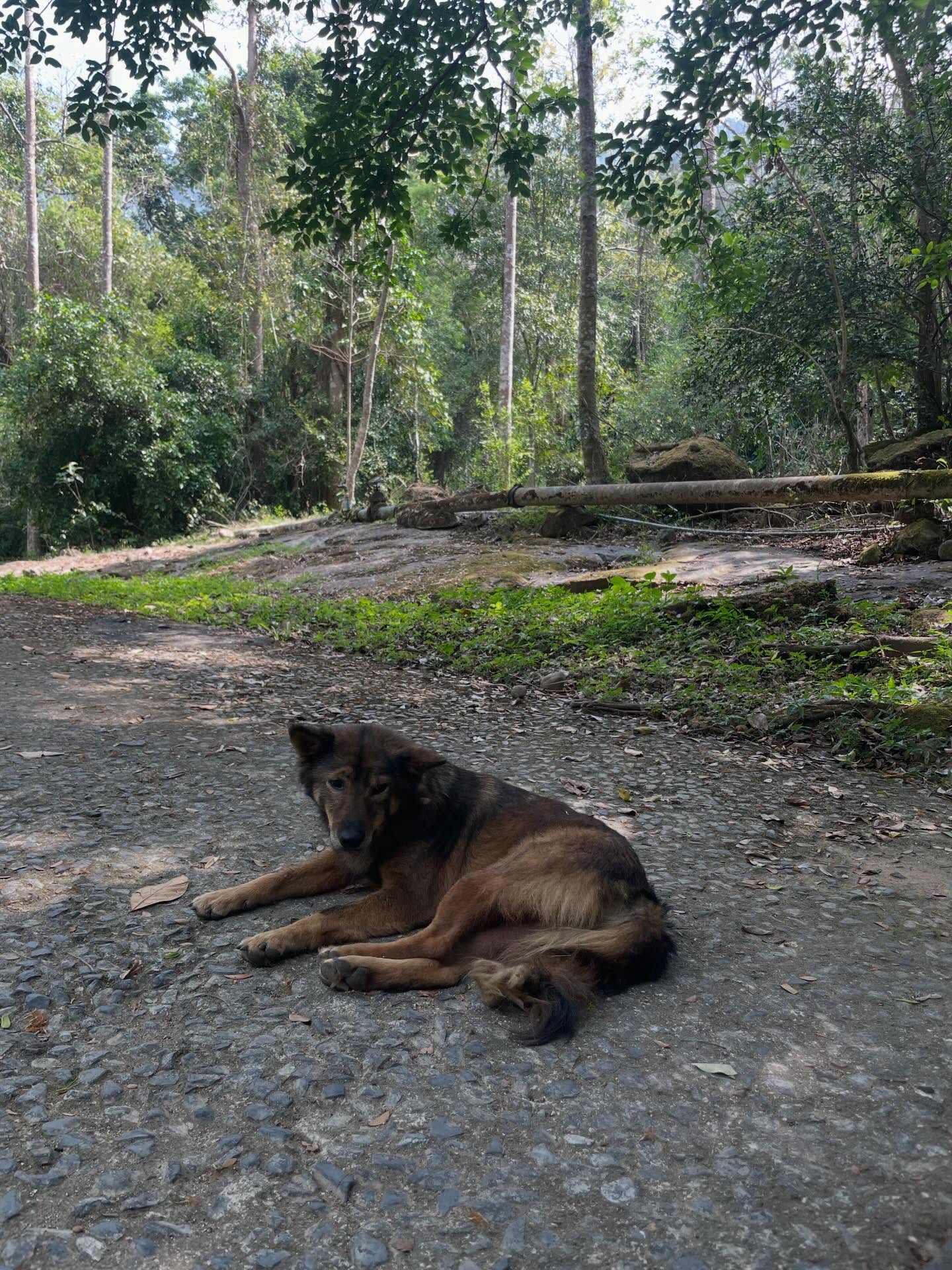 เพิร์ล - ศัจกร ฉลาด