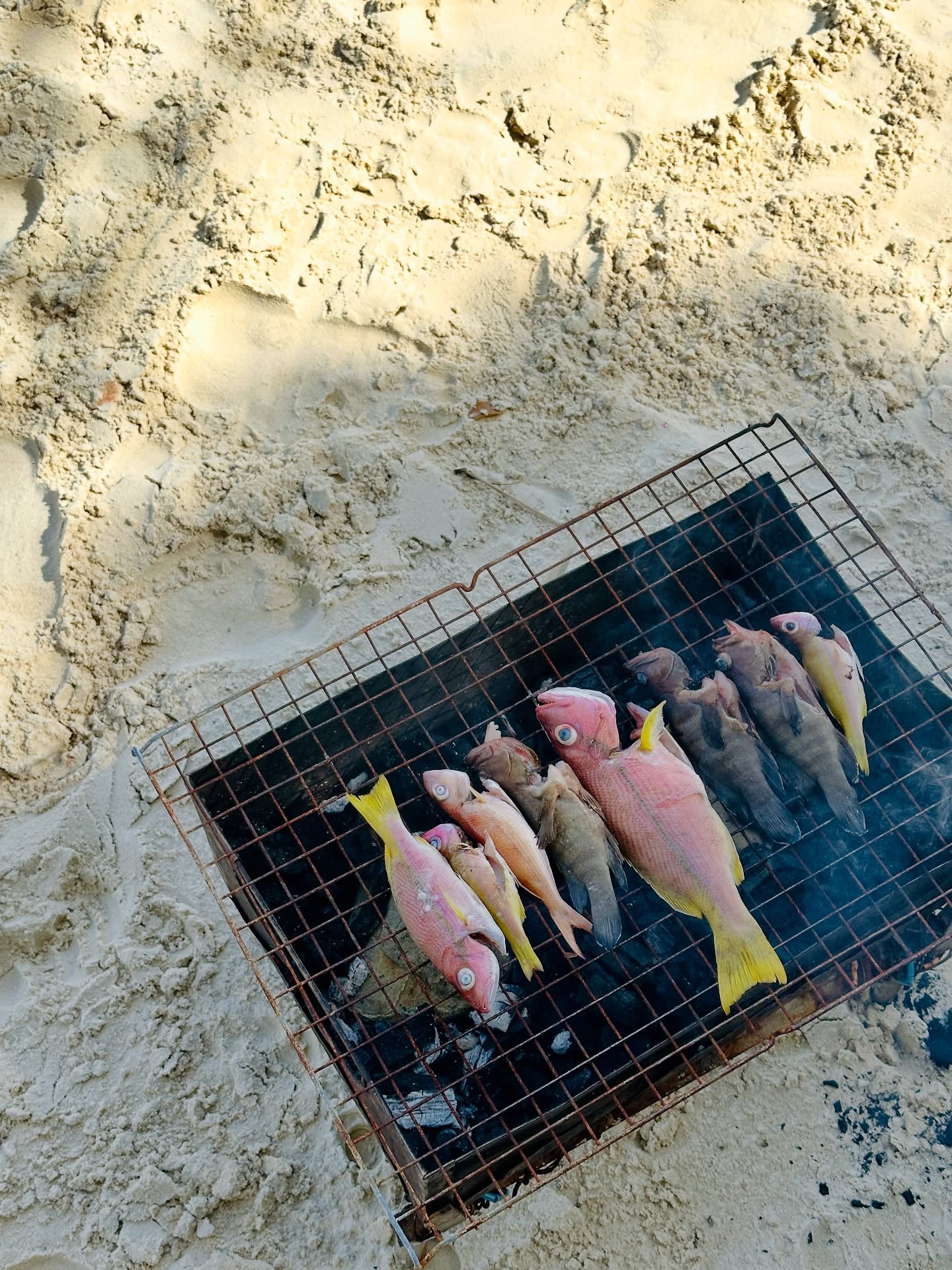 เอมมี่ - มรกต กิตติสาระ