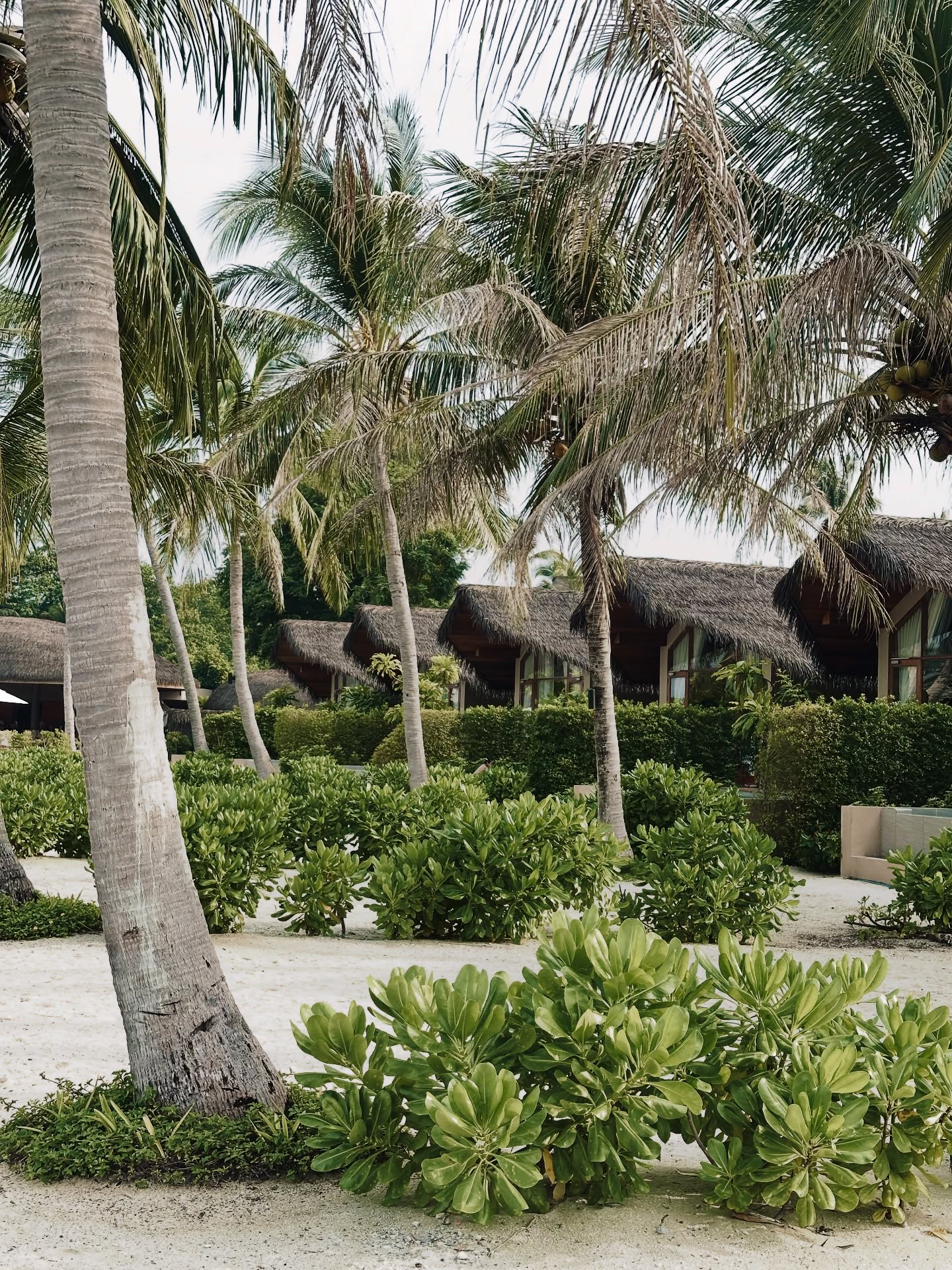 เอมมี่ - มรกต กิตติสาระ