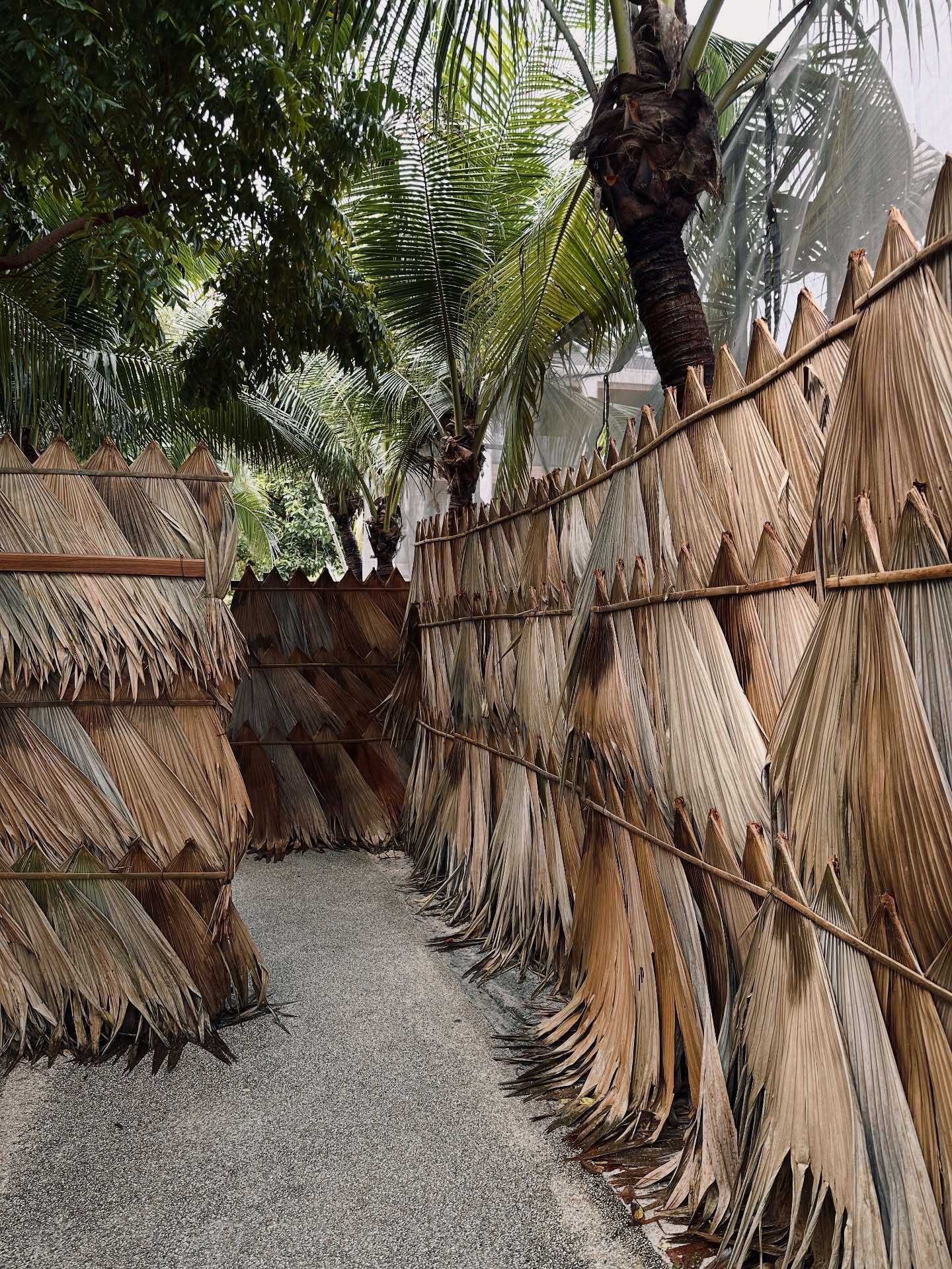 เอมมี่ - มรกต กิตติสาระ