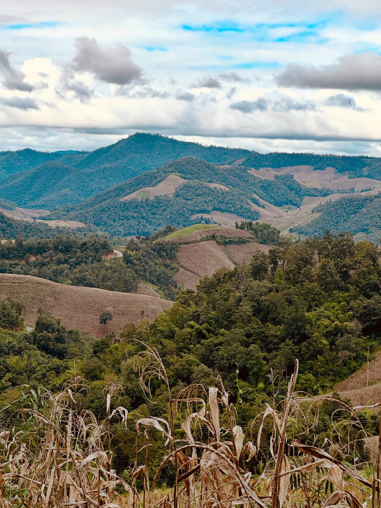 เอมมี่ - มรกต กิตติสาระ