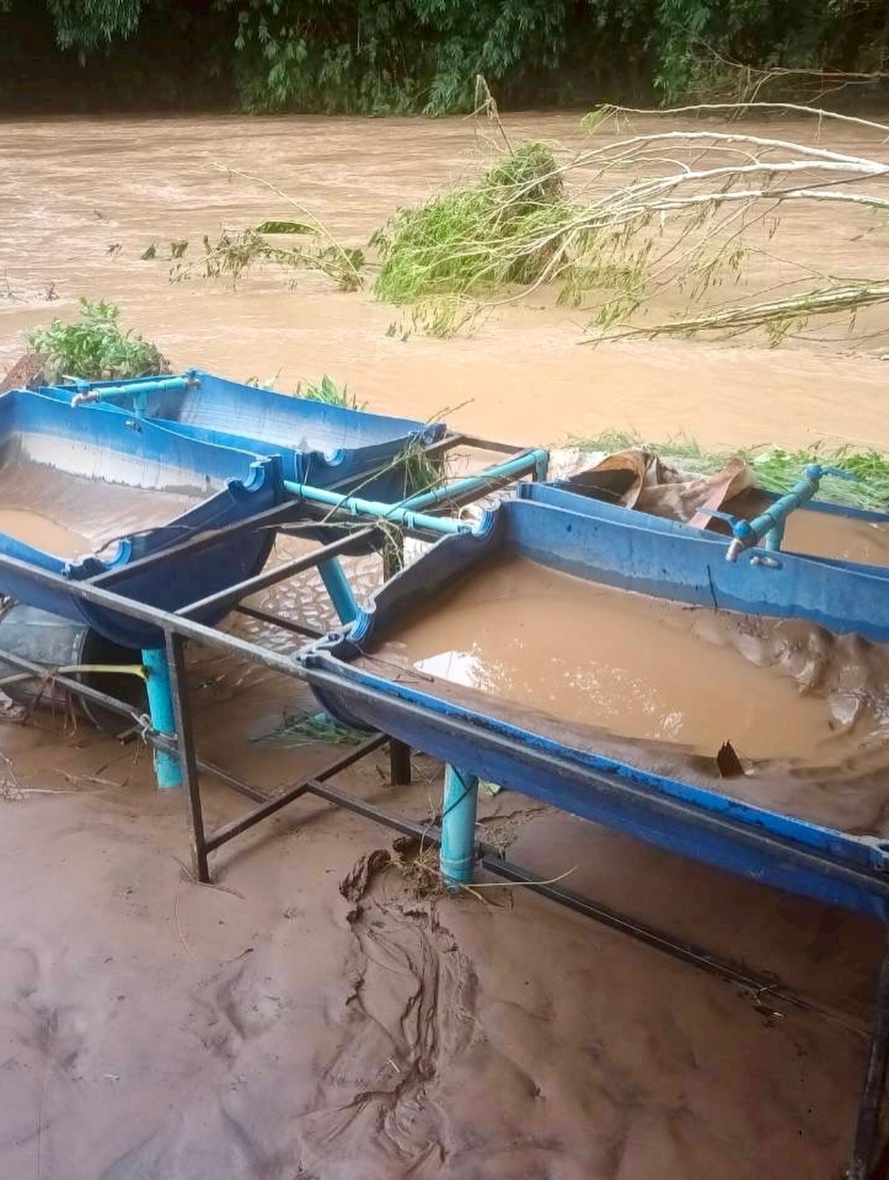 เอมมี่ - มรกต กิตติสาระ