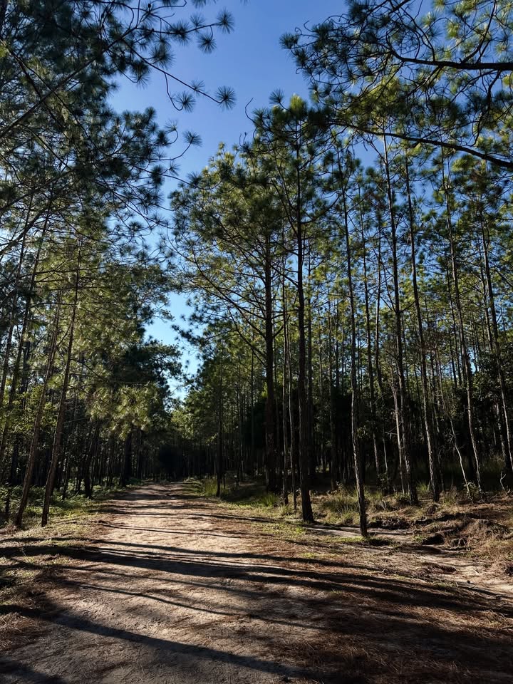 เอมมี่ - มรกต กิตติสาระ