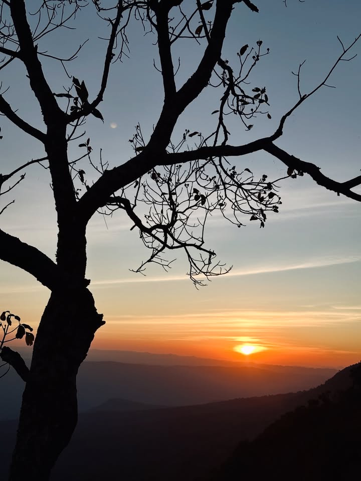 เอมมี่ - มรกต กิตติสาระ