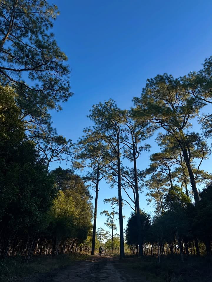 เอมมี่ - มรกต กิตติสาระ