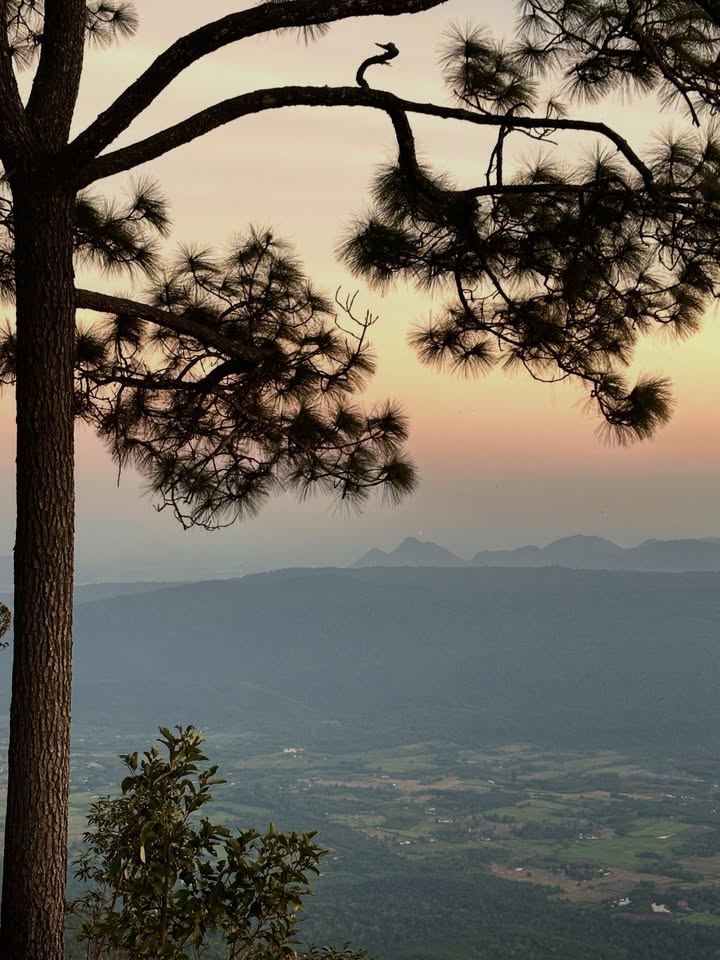 เอมมี่ - มรกต กิตติสาระ