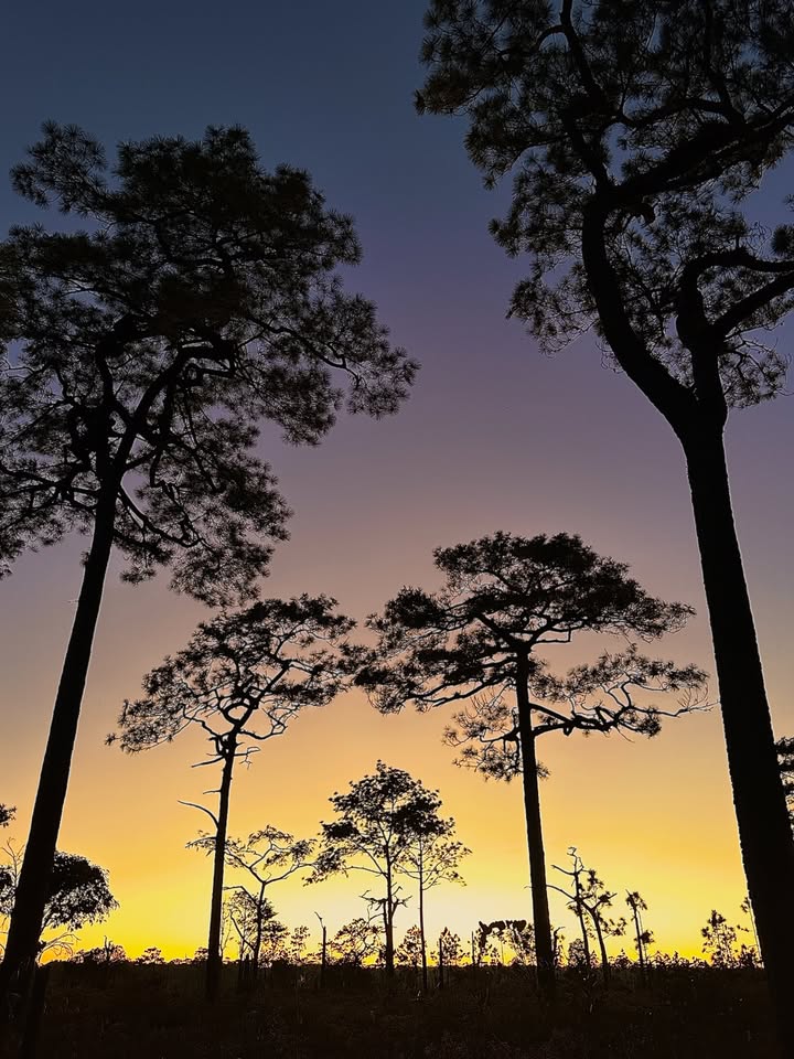 เอมมี่ - มรกต กิตติสาระ