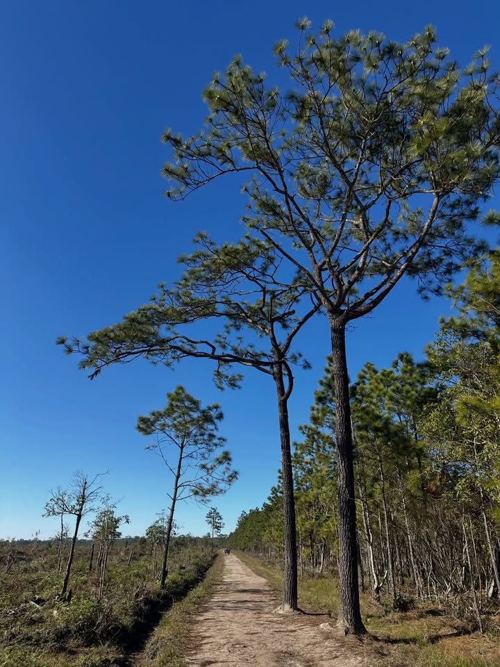 เอมมี่ - มรกต กิตติสาระ