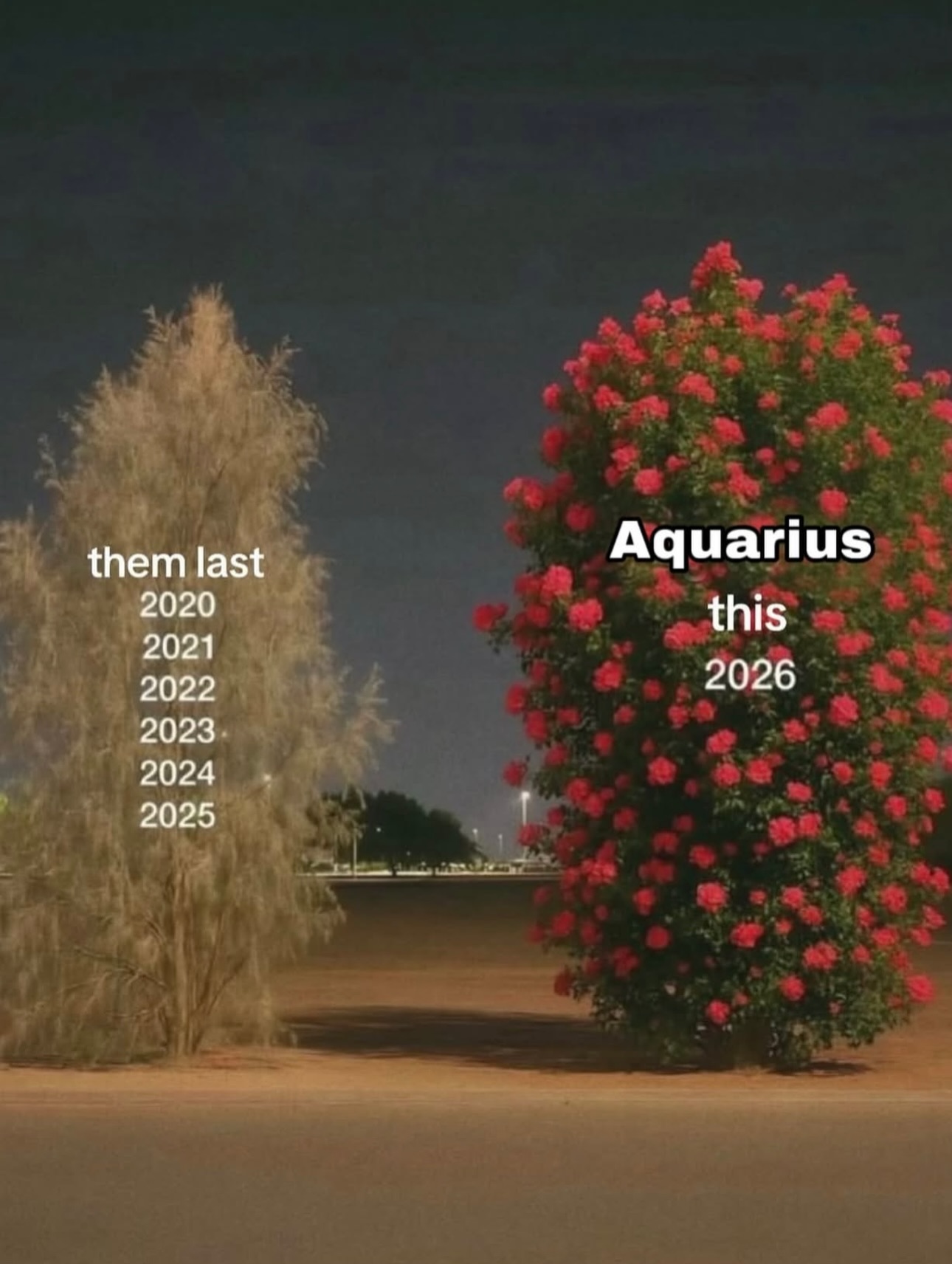 เอมมี่ - มรกต กิตติสาระ