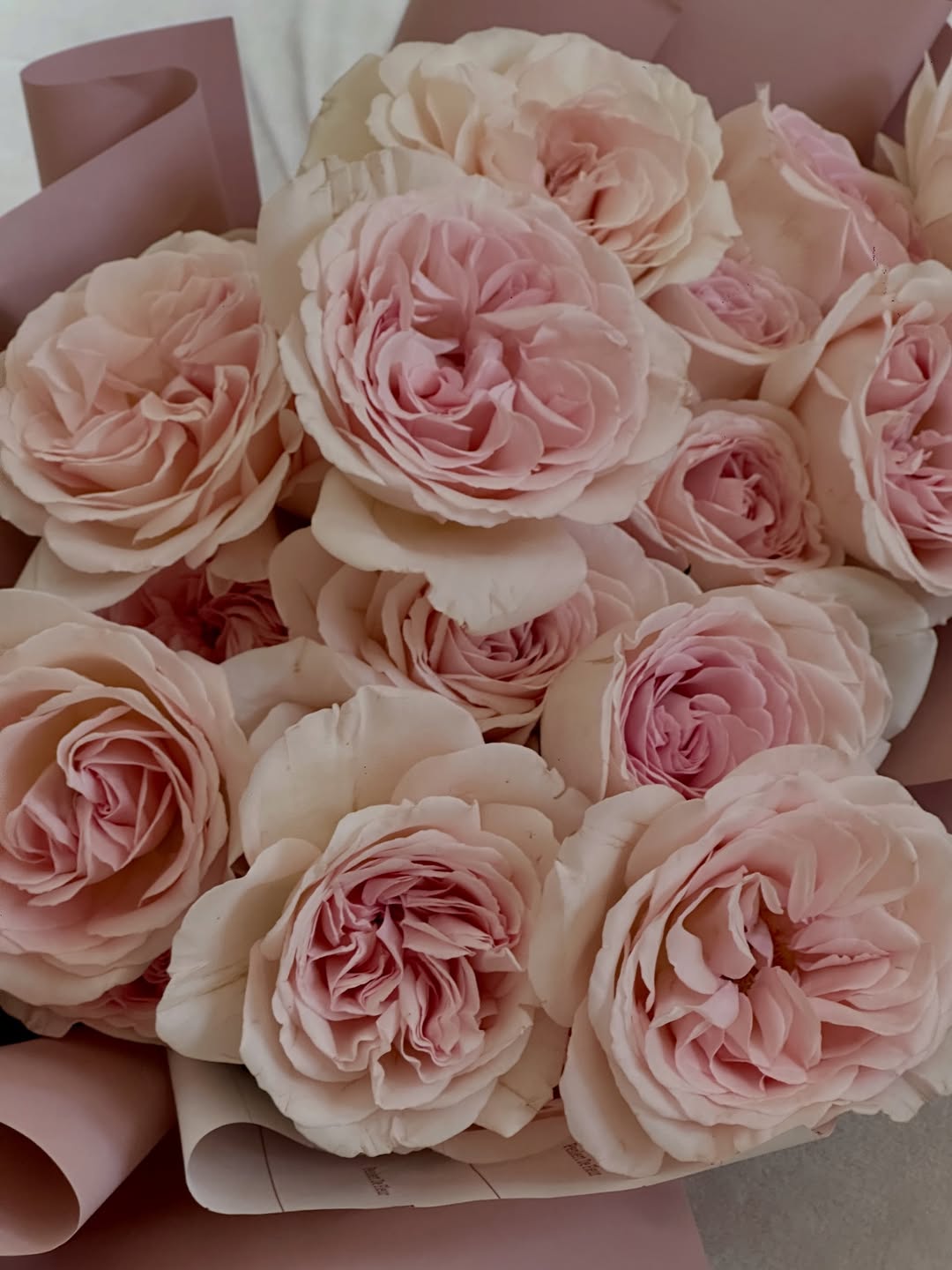 เอมมี่ - มรกต กิตติสาระ