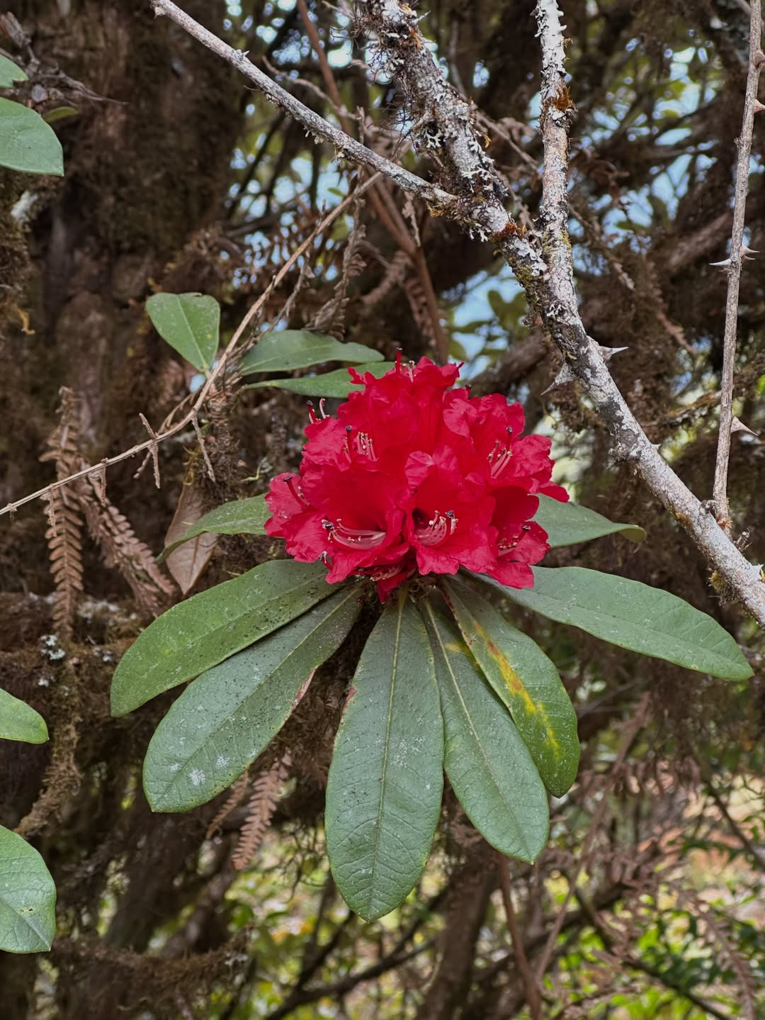 เอมมี่ - มรกต กิตติสาระ