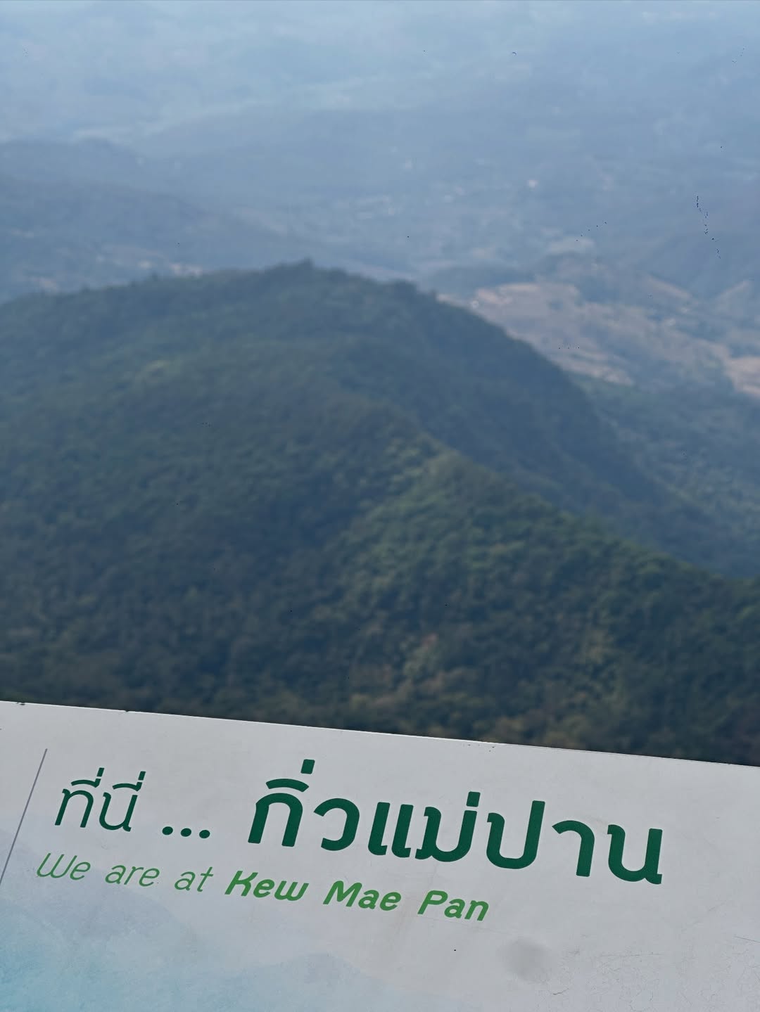 เอมมี่ - มรกต กิตติสาระ