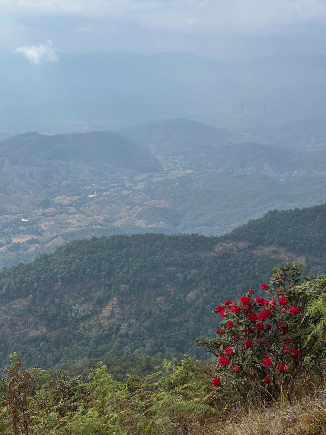 เอมมี่ - มรกต กิตติสาระ