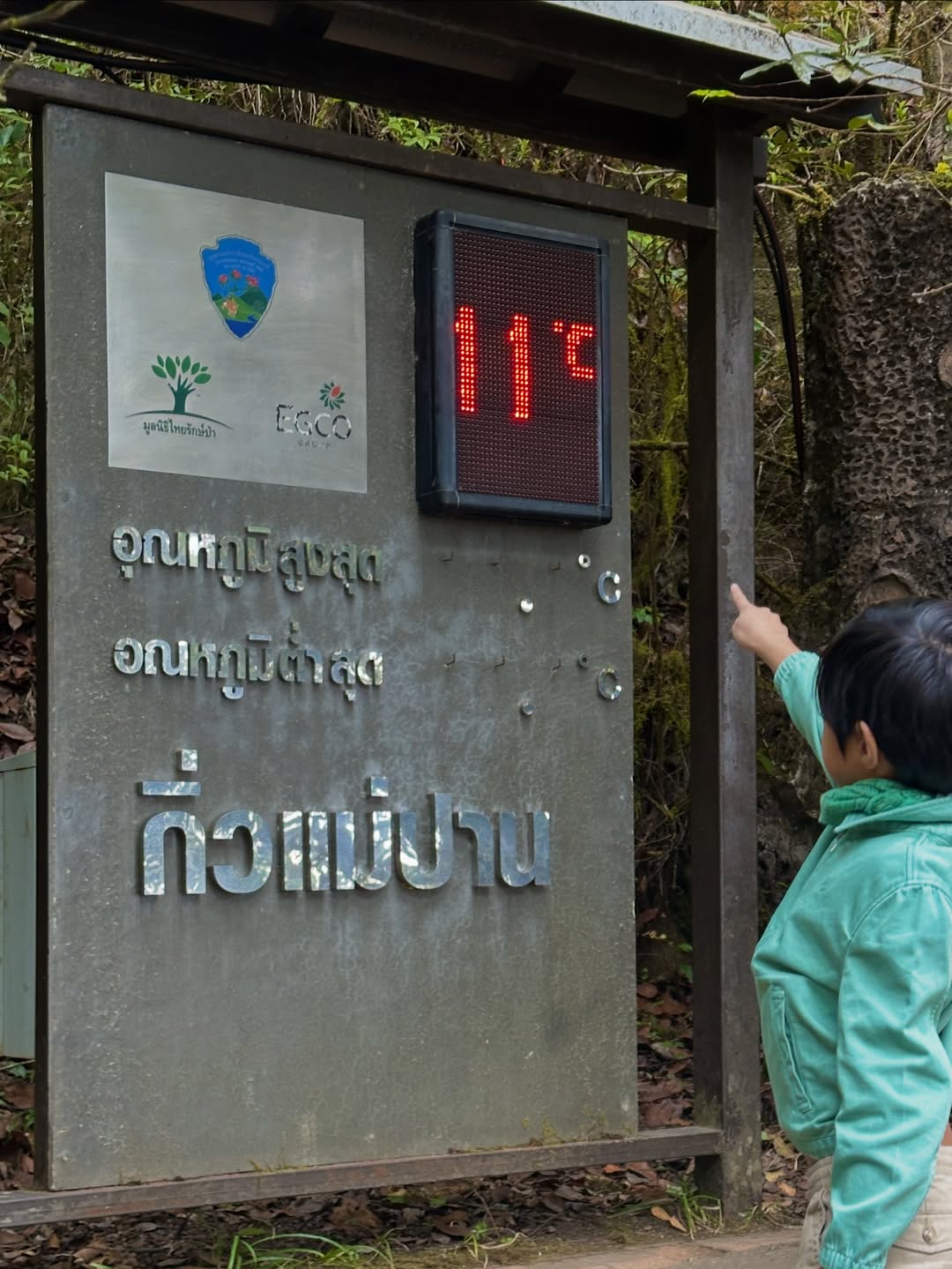 เอมมี่ - มรกต กิตติสาระ