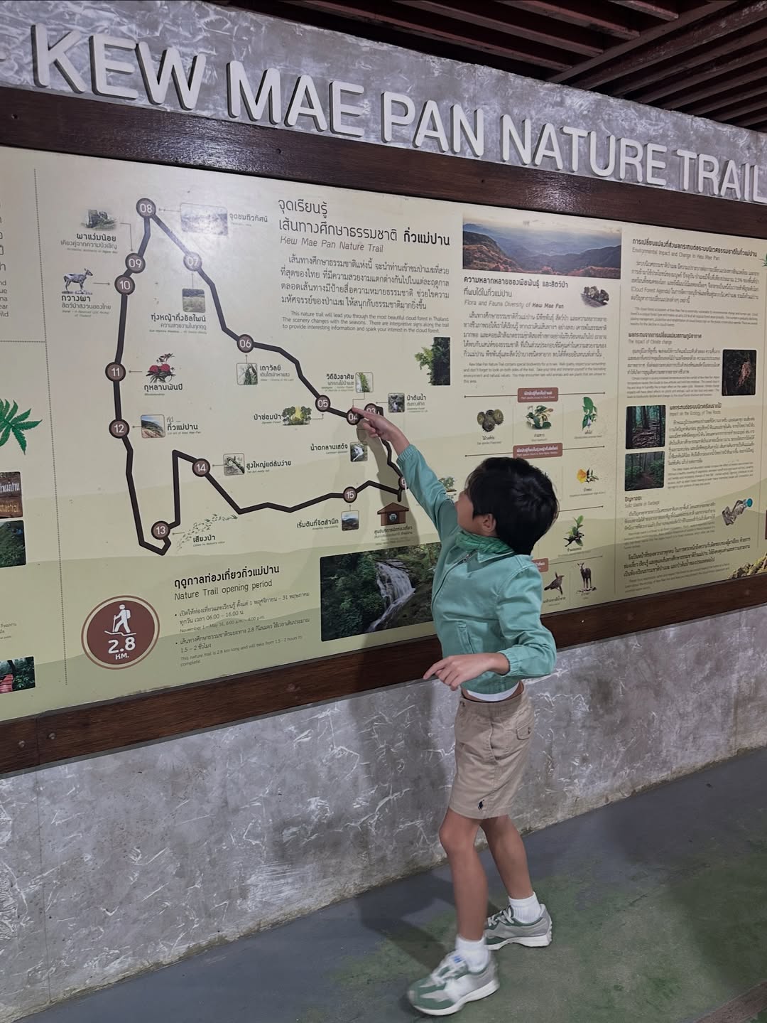 เอมมี่ - มรกต กิตติสาระ