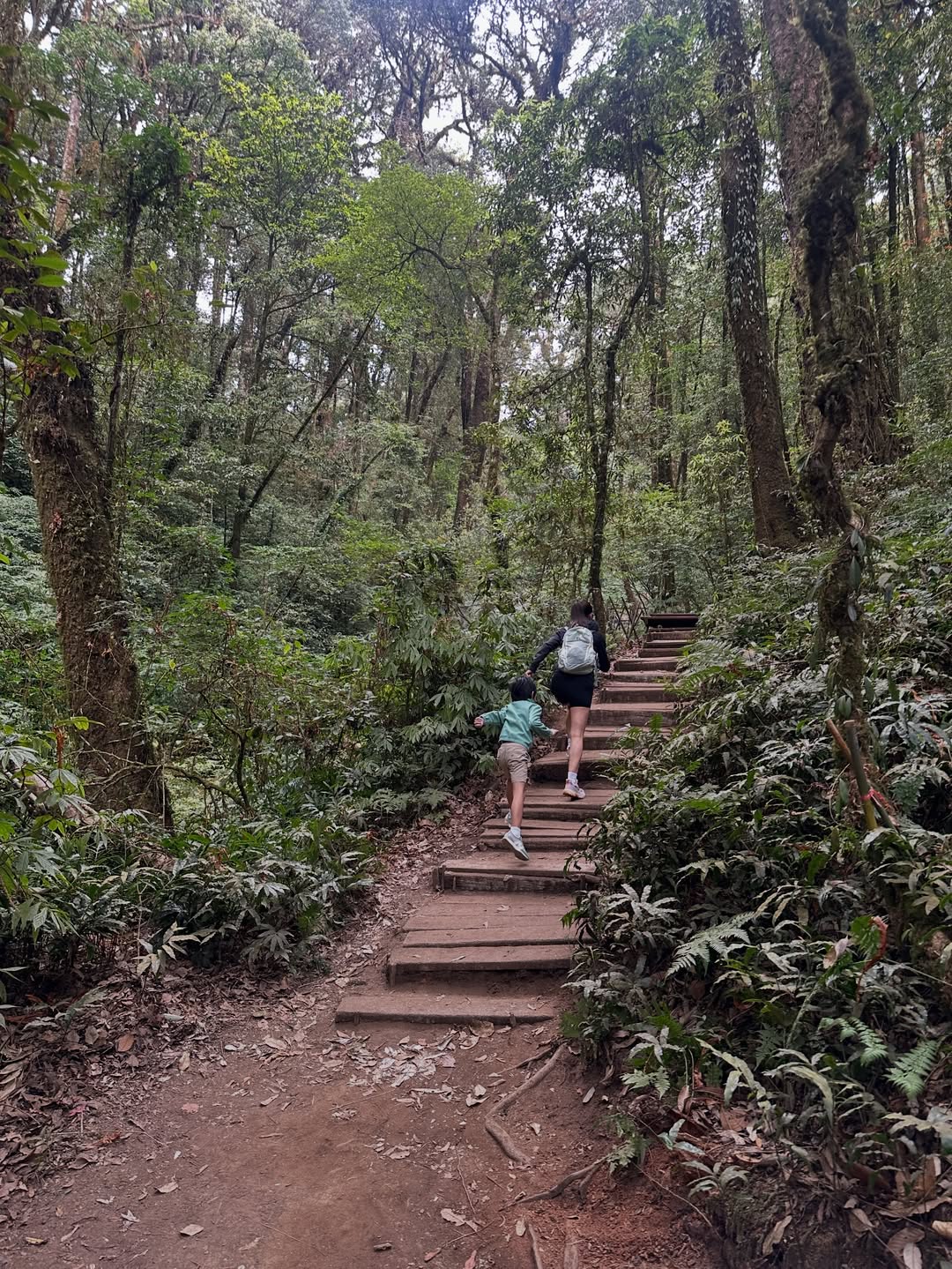 เอมมี่ - มรกต กิตติสาระ