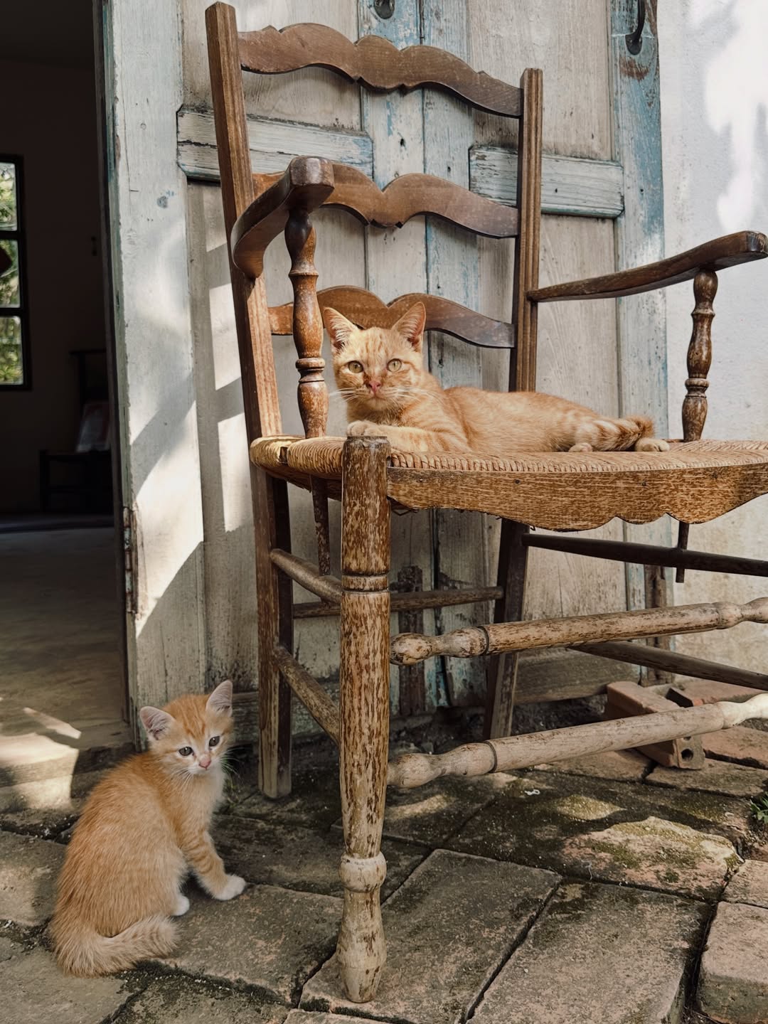 เอมมี่ - มรกต กิตติสาระ