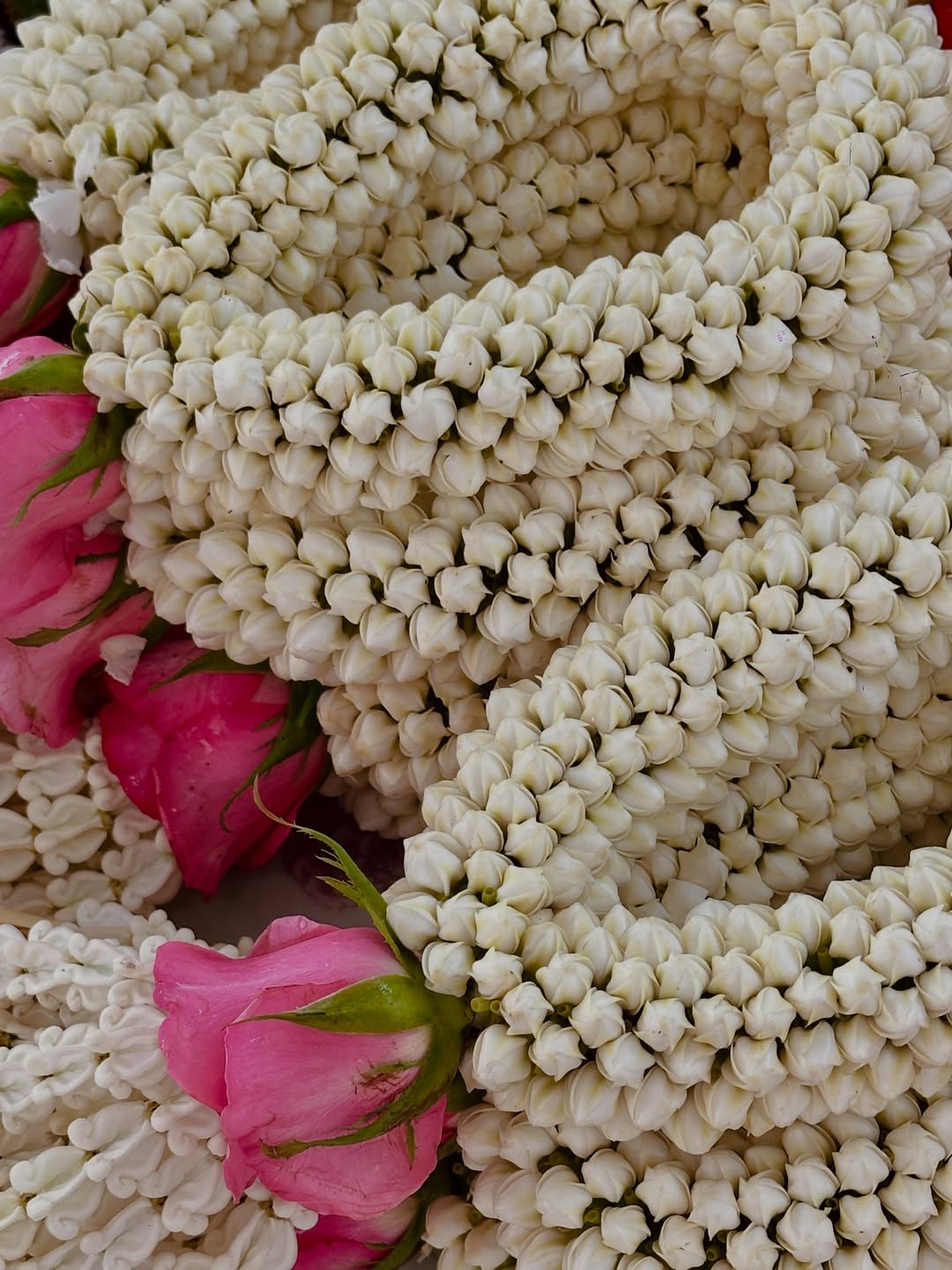 เอมมี่ - มรกต กิตติสาระ