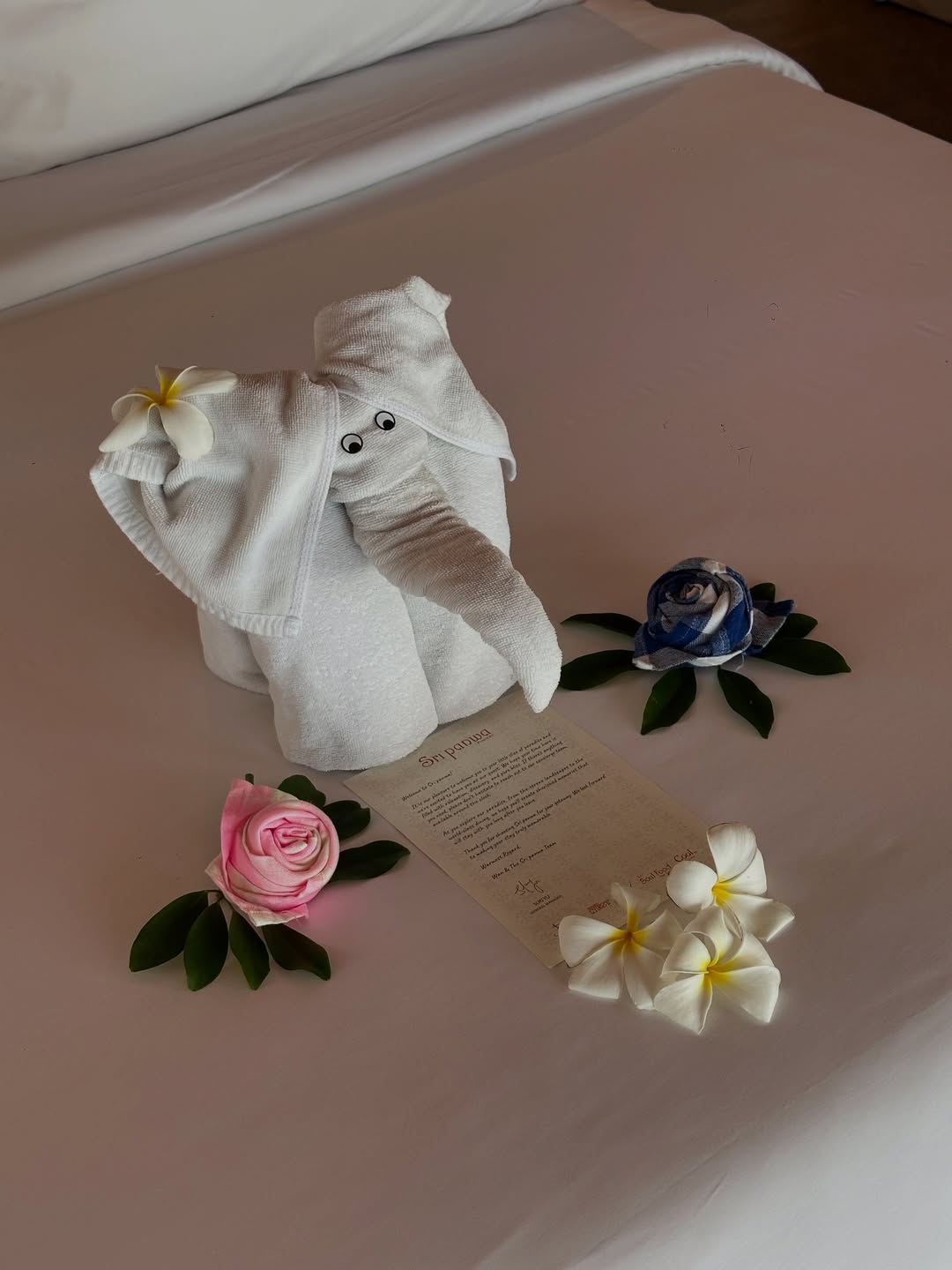 เอมมี่ - มรกต กิตติสาระ