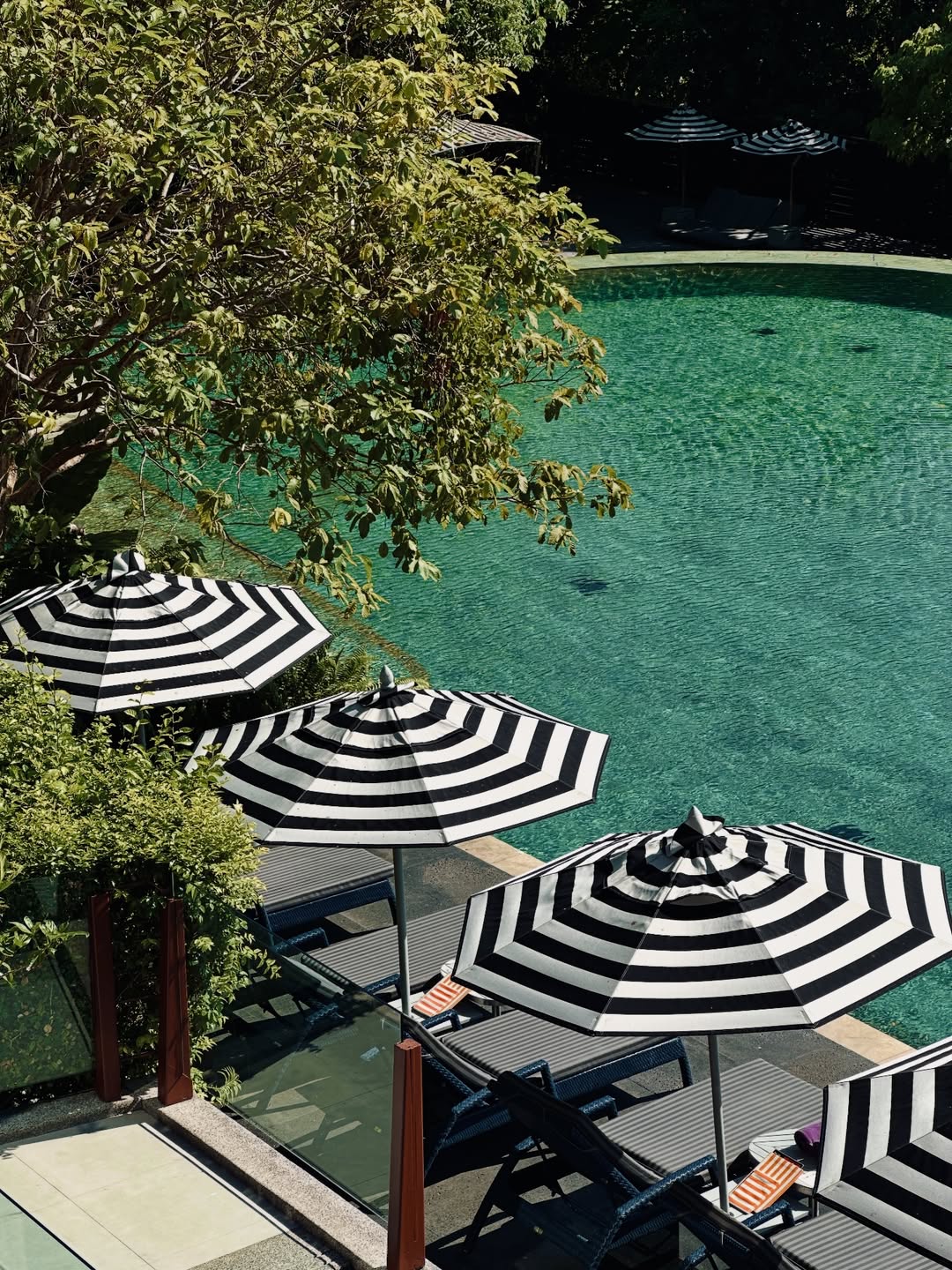 เอมมี่ - มรกต กิตติสาระ