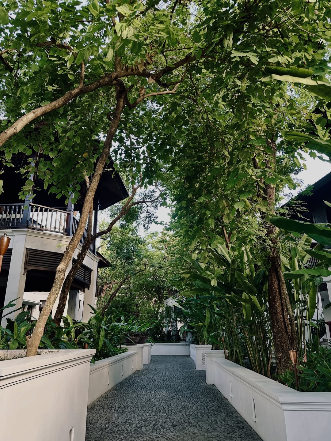 เอมมี่ - มรกต กิตติสาระ