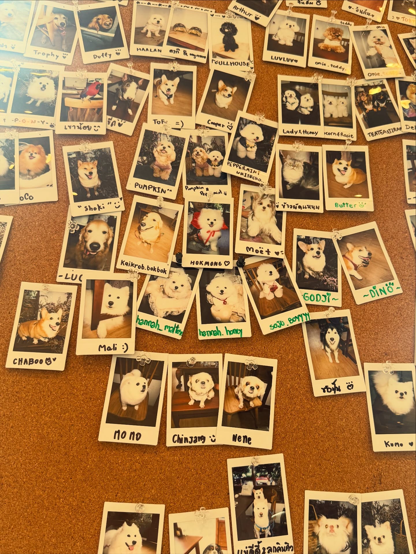 โอ๊ค - สมิทธิ์ อารยะสกุล